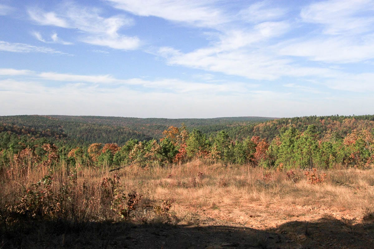 Stone Creek Phase III Tract 11 photo 7