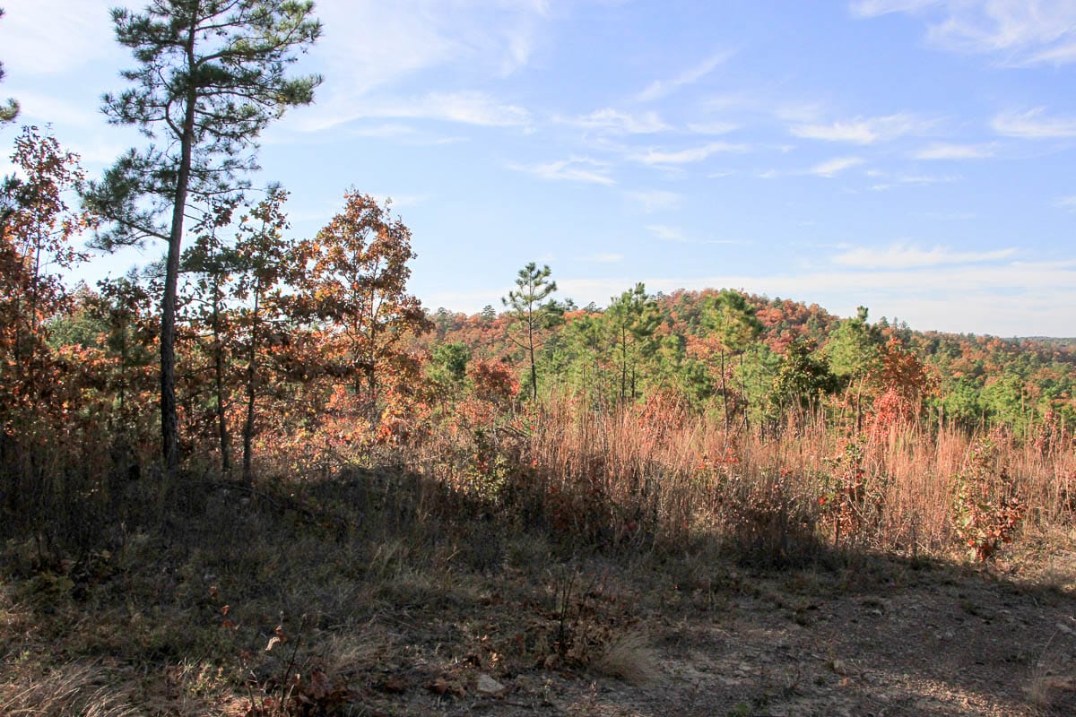 Stone Creek Phase III Tract 11 photo 8