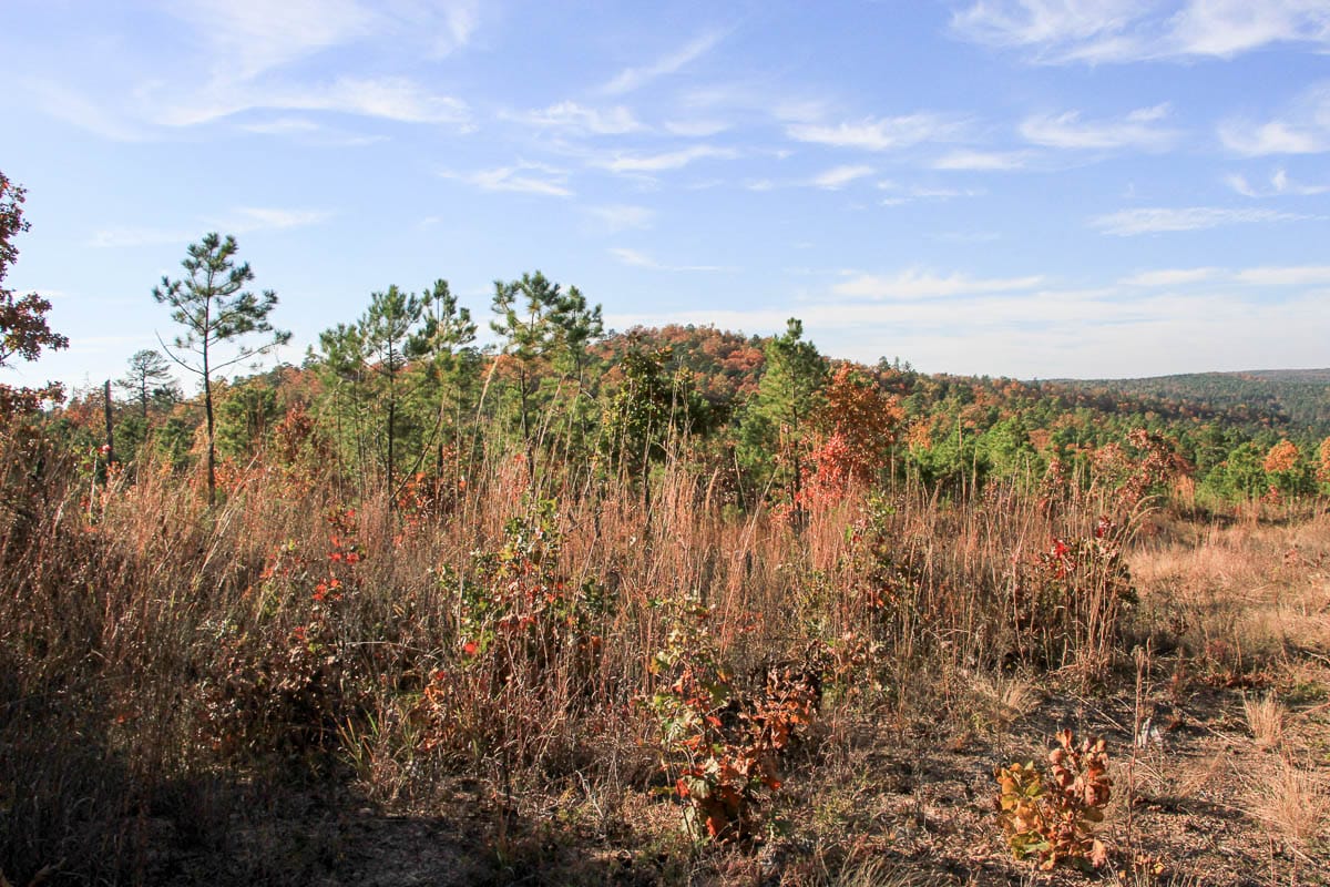 Stone Creek Phase III Tract 11 photo 9