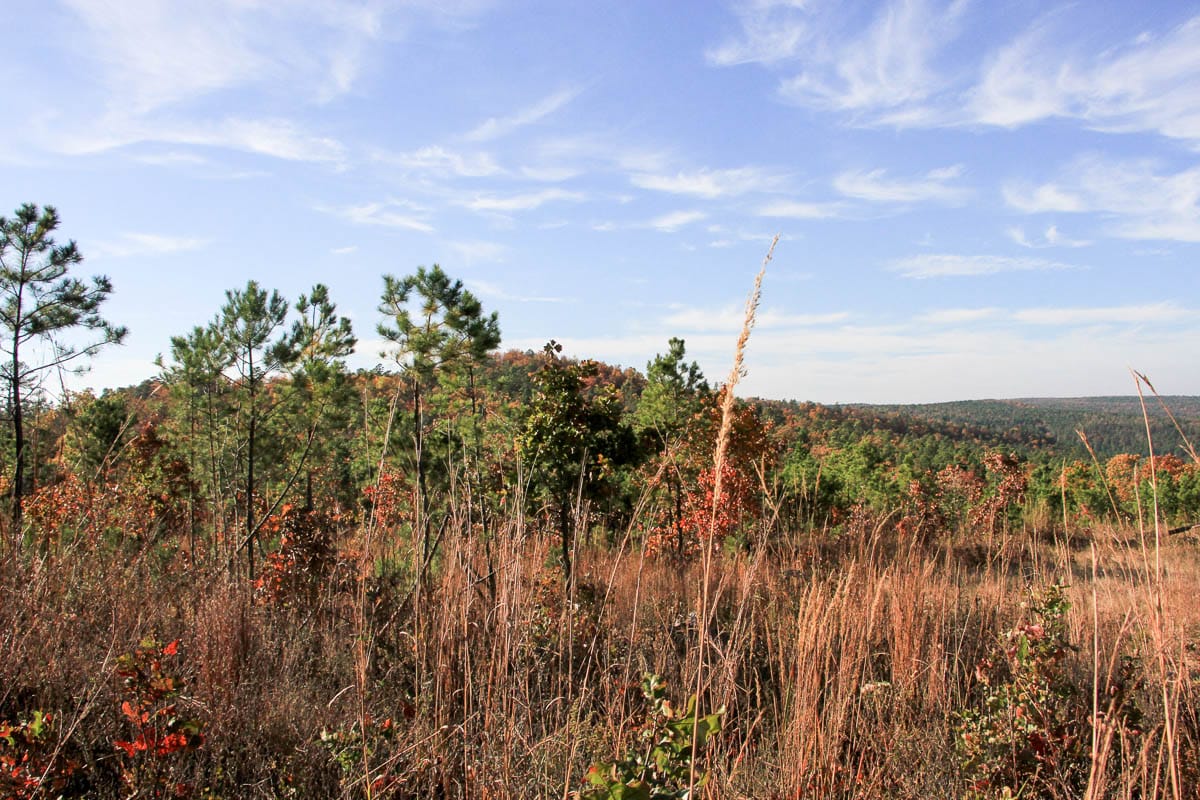 Stone Creek Phase III Tract 11 photo 10
