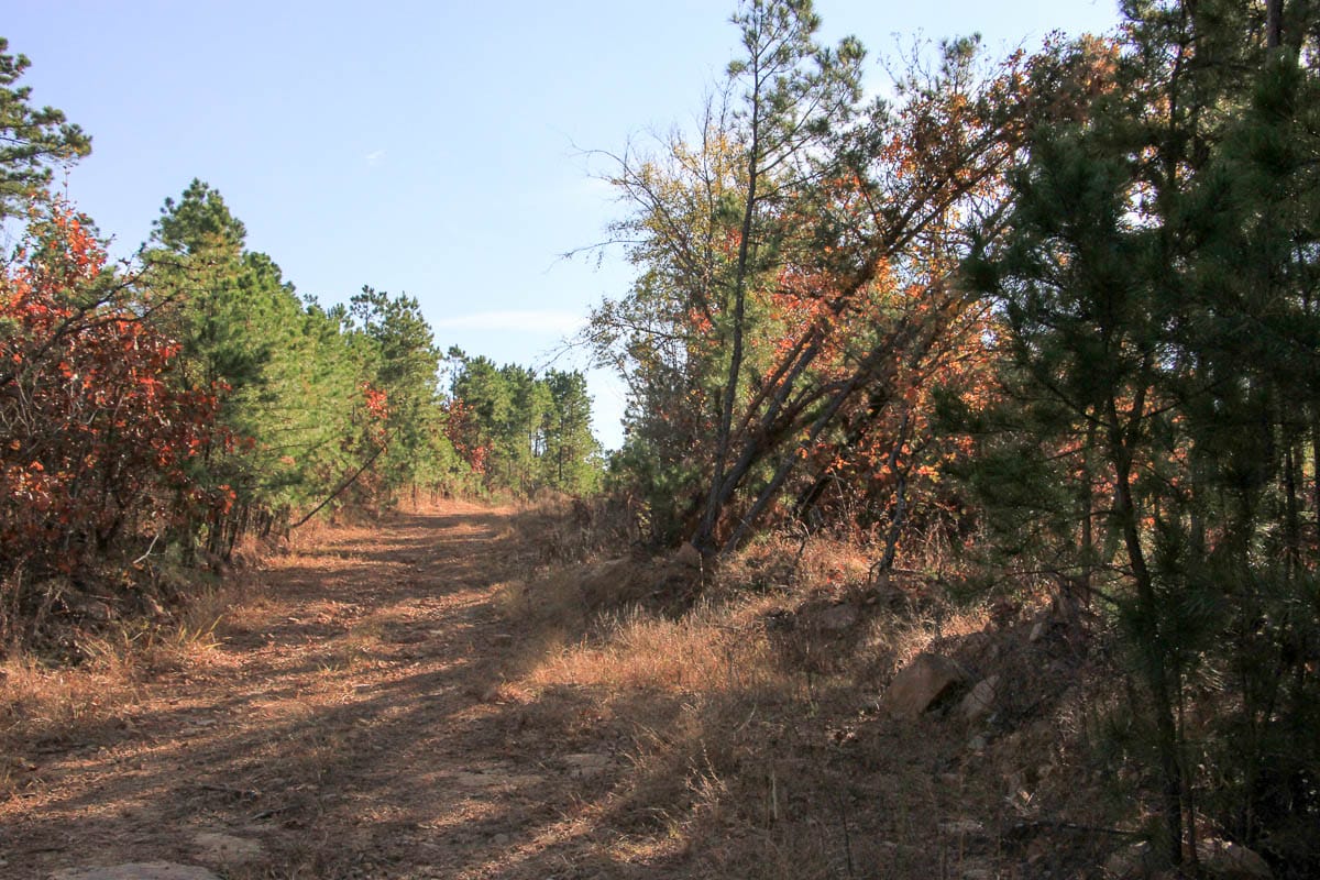 Stone Creek Phase III Tract 11 photo 11