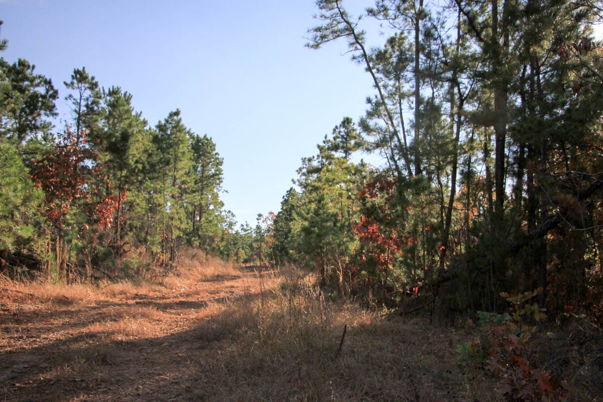 Stone Creek Phase III Tract 11 photo 12
