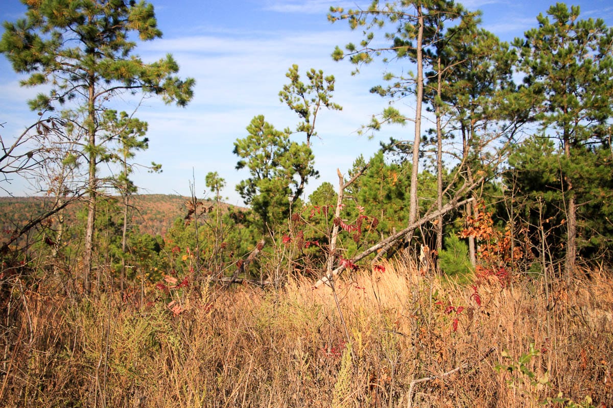 Stone Creek Phase III Tract 11 photo 14