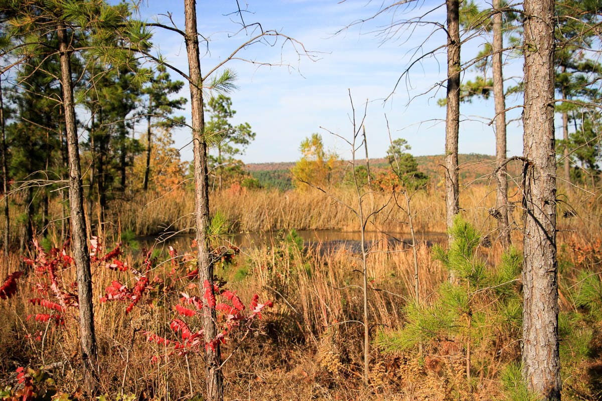 Stone Creek Phase III Tract 11 photo 16
