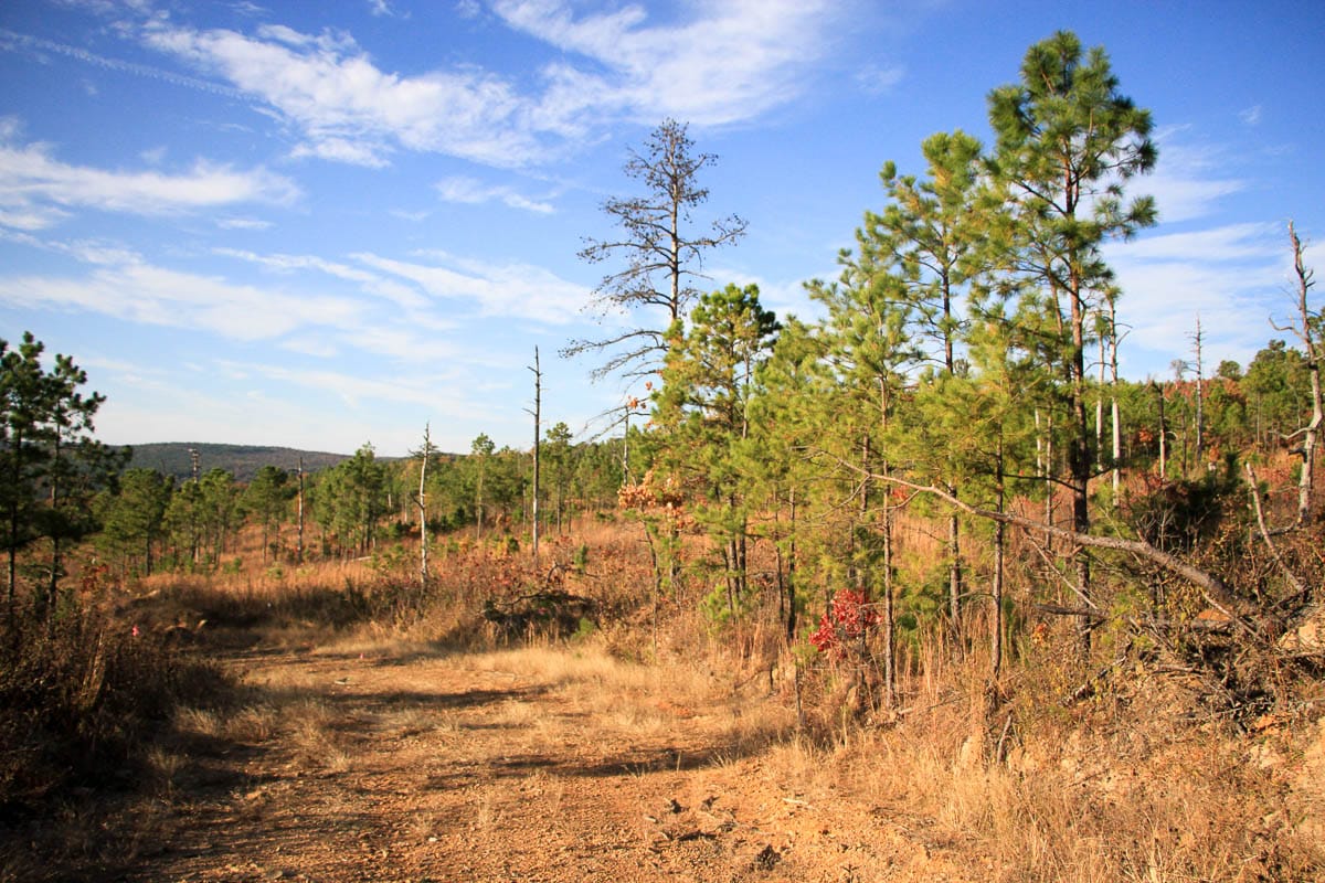 Stone Creek Phase III Tract 11 photo 21