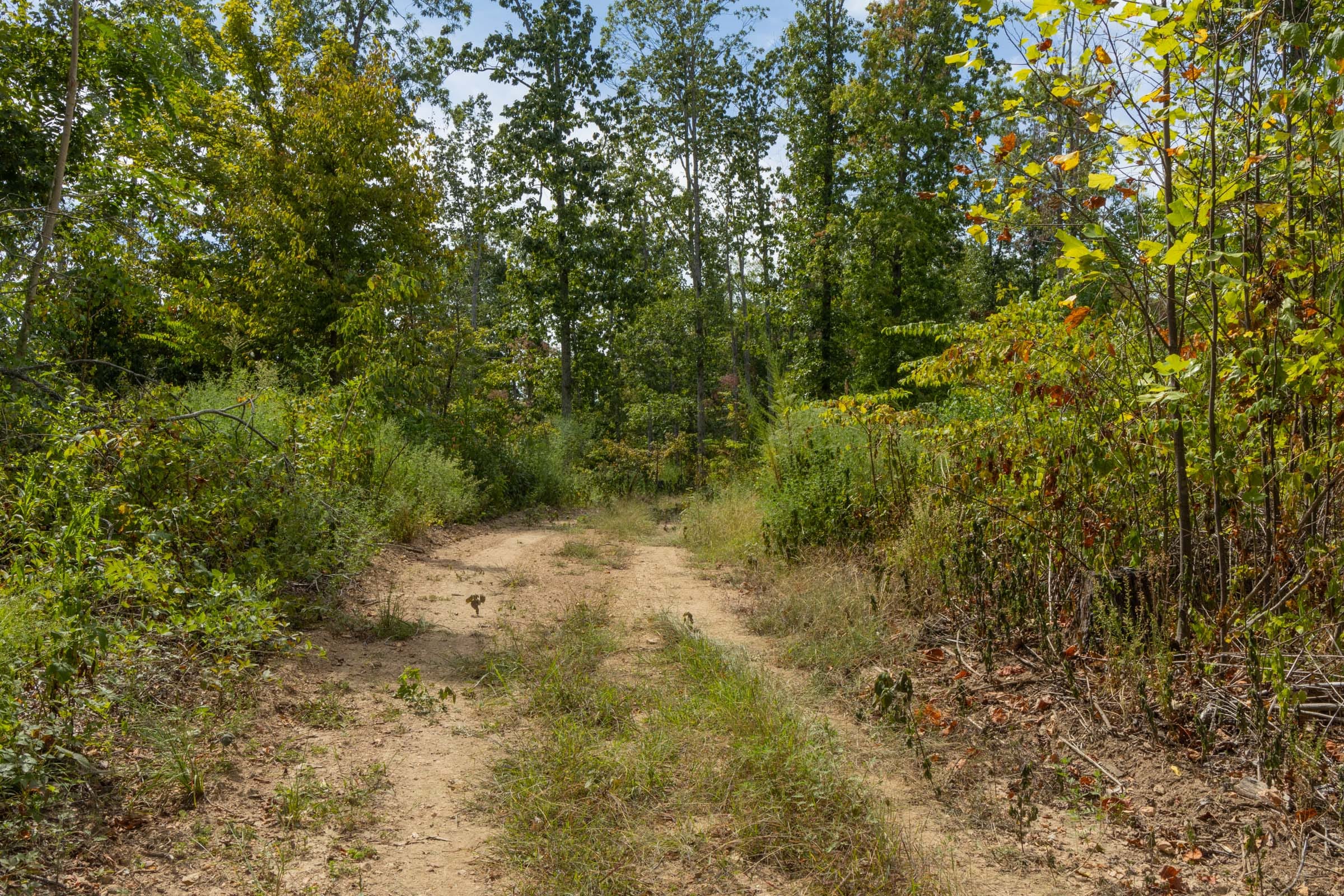 Big White Oak Tract 78 photo 1