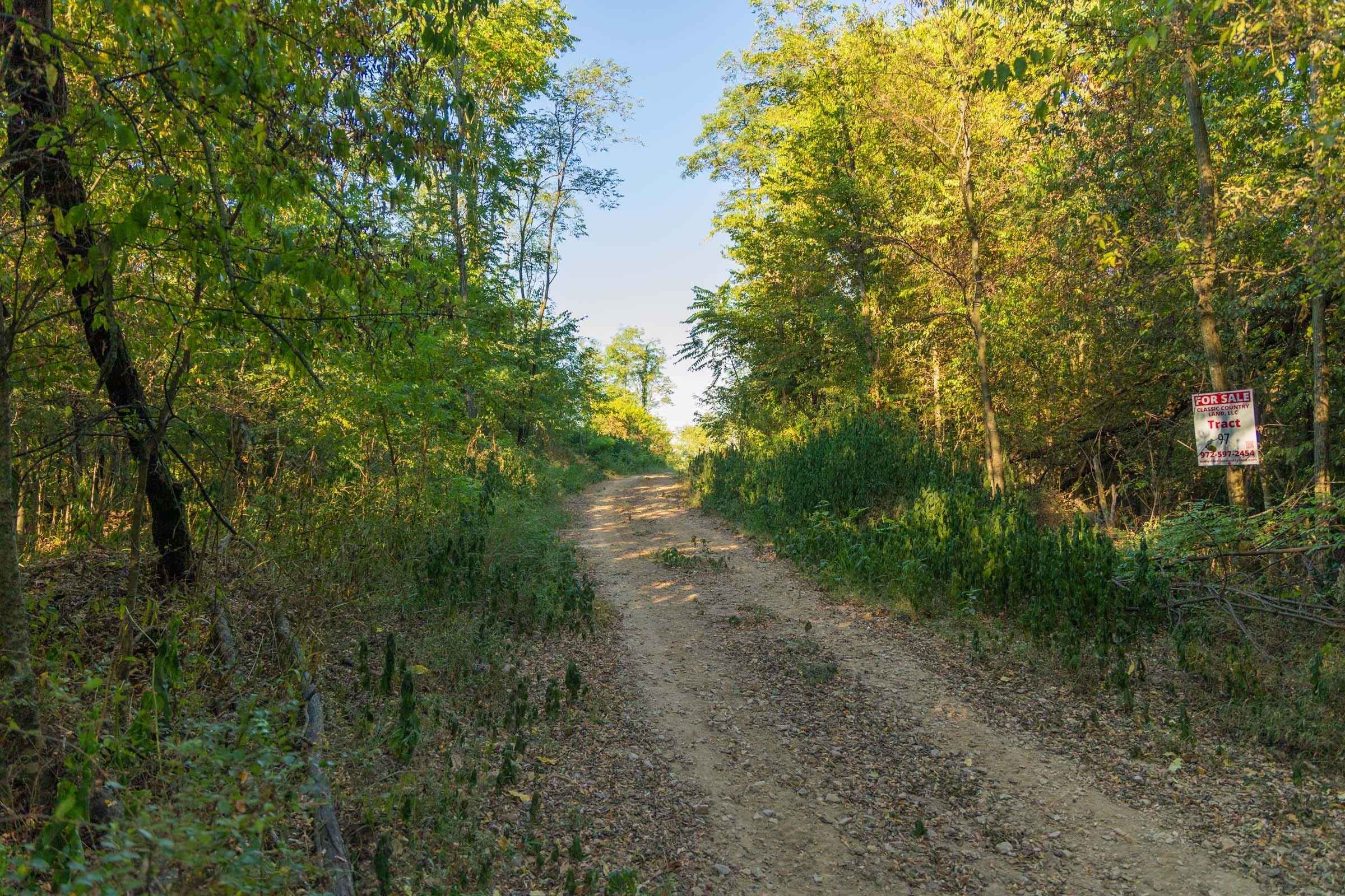 Big White Oak Tract 112 photo 1