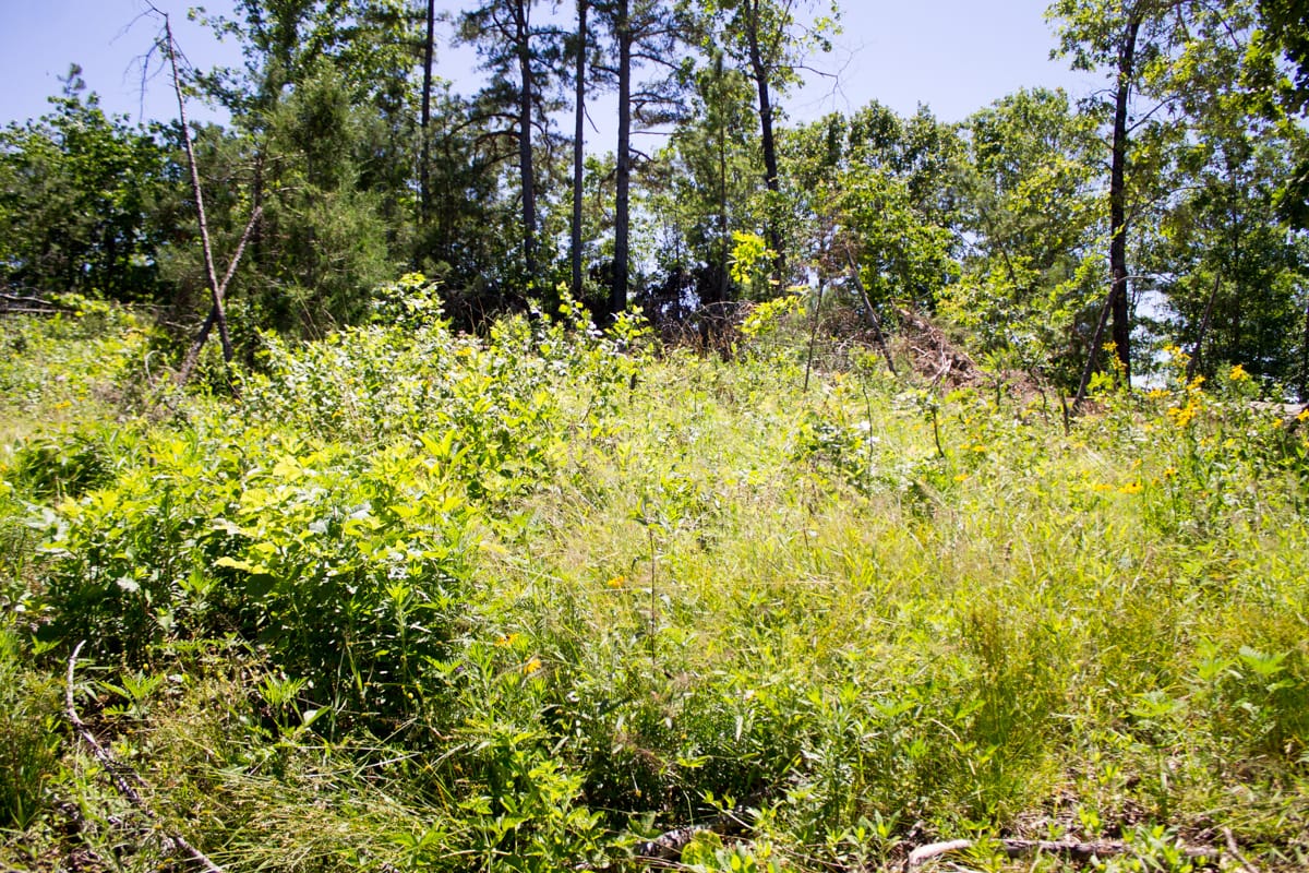 Timber Crossing Tract 12 photo 10