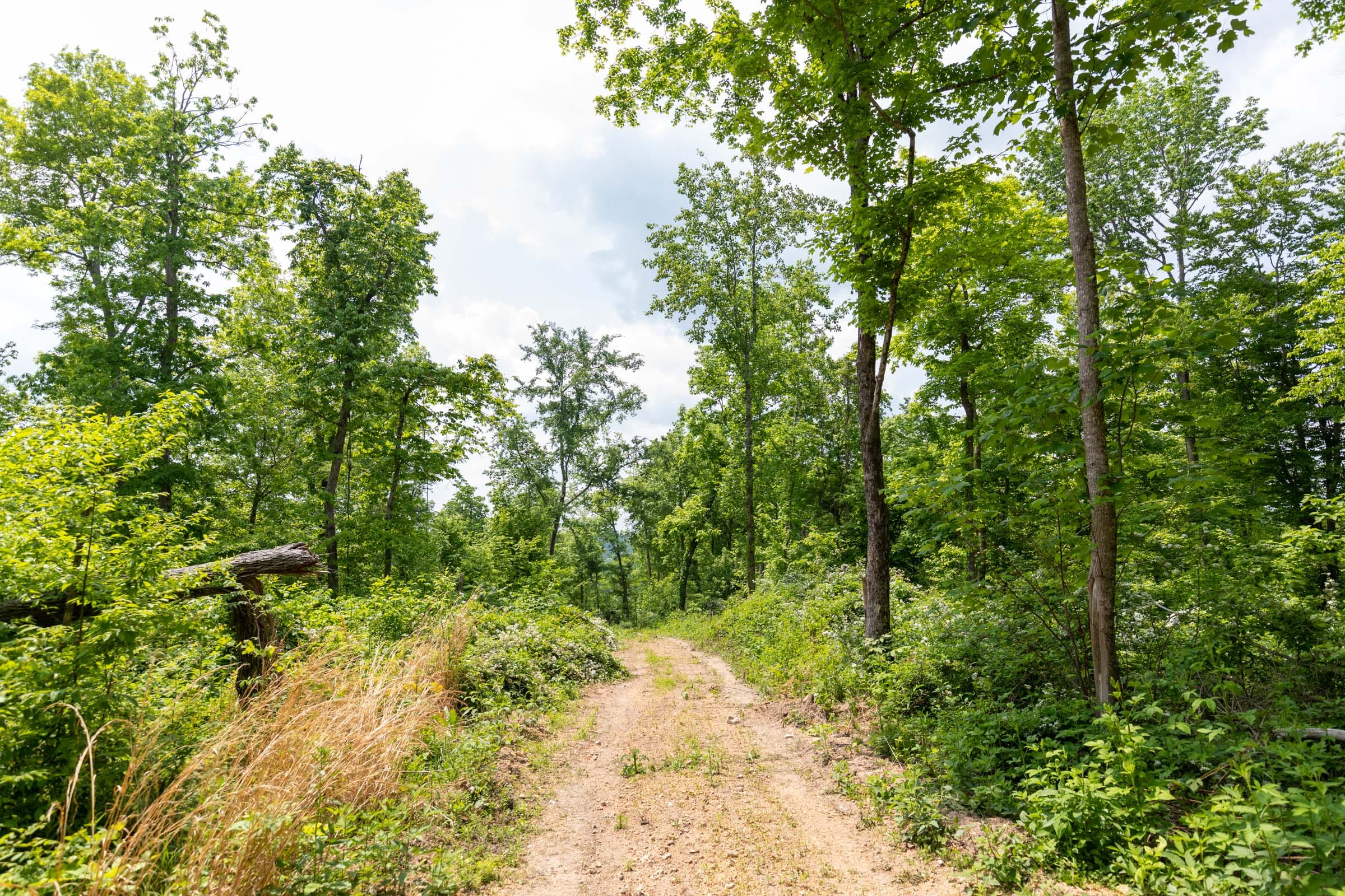 Cedar Creek Tract 30 photo 6