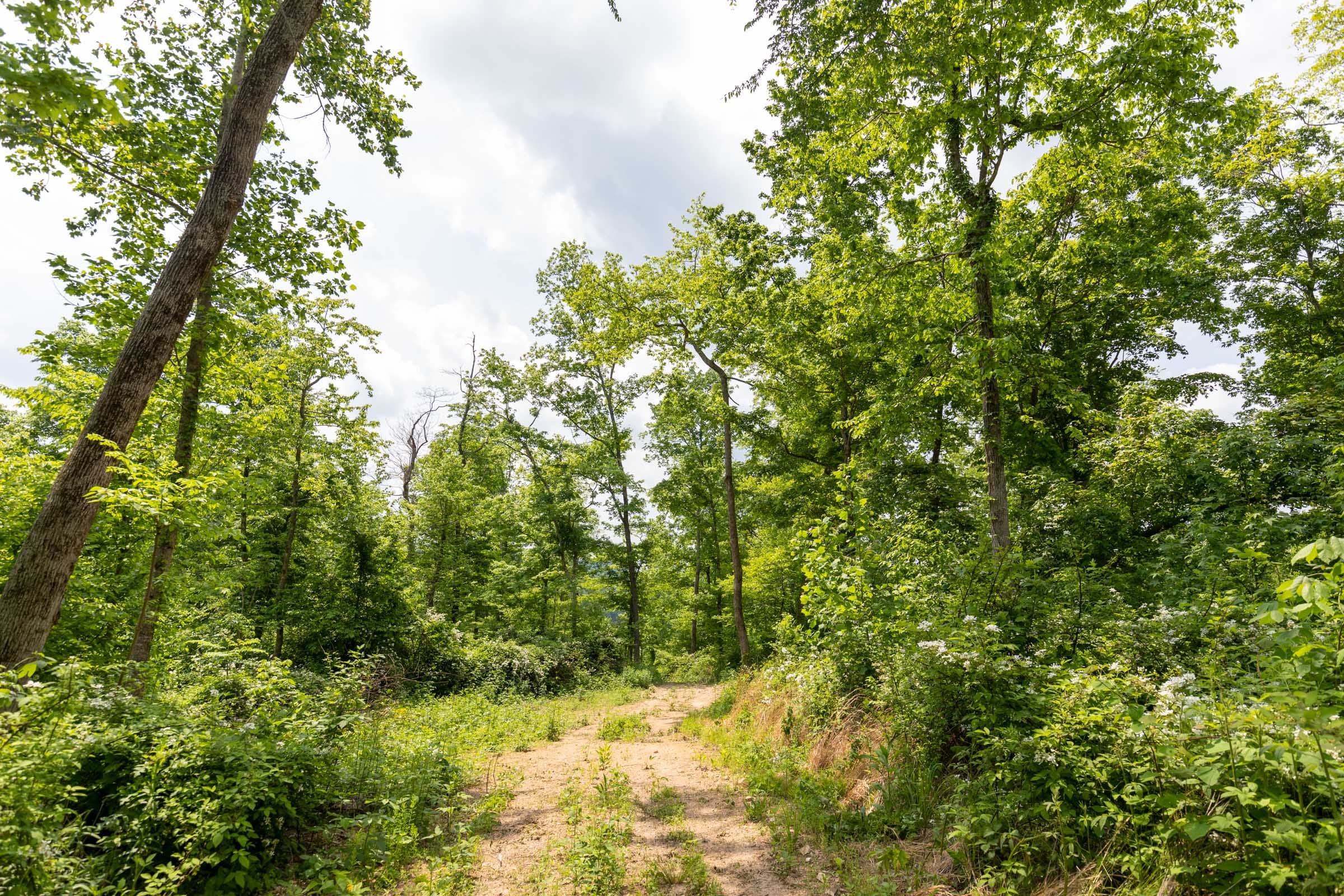 Cedar Creek Tract 30 photo 3