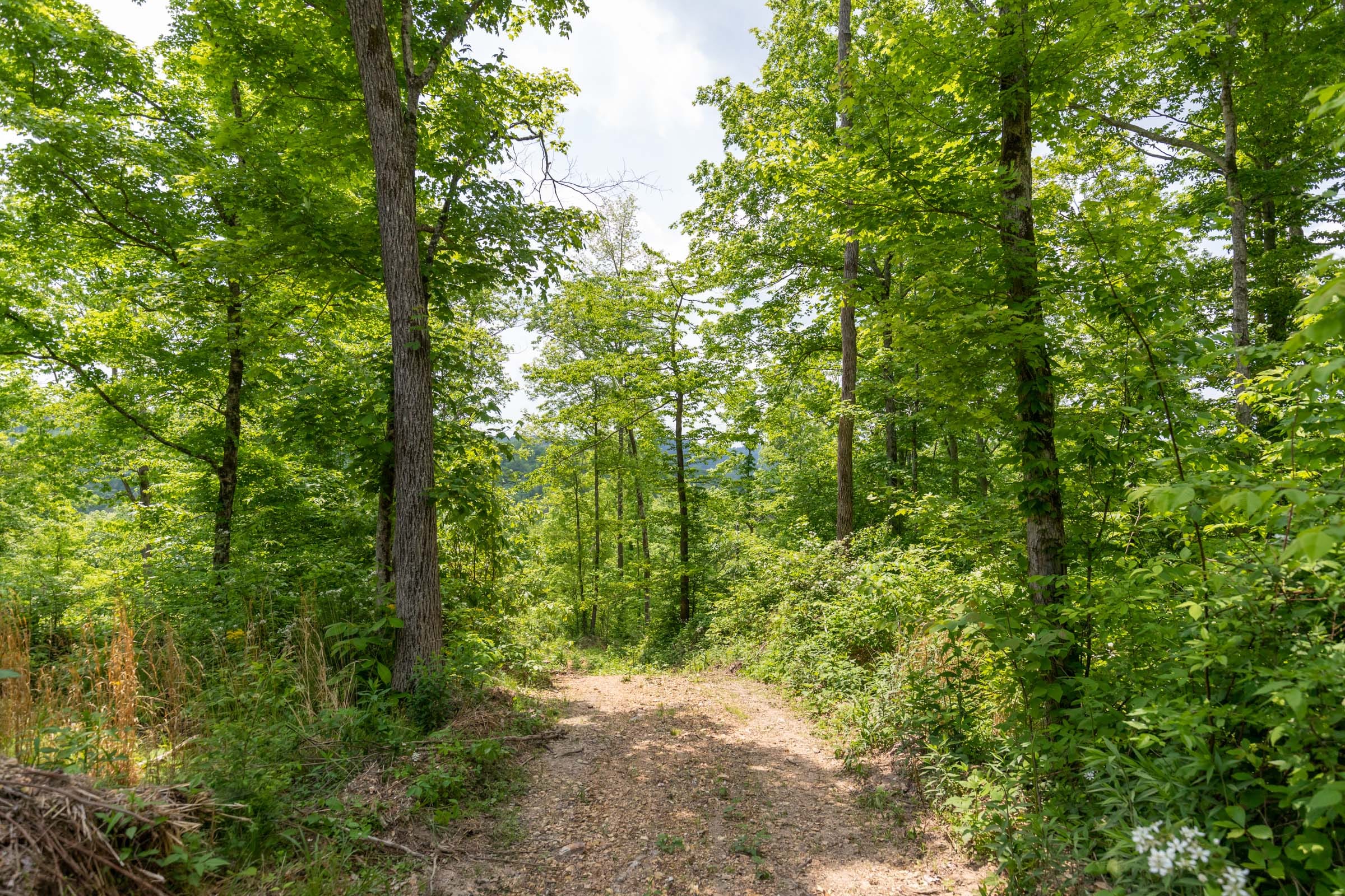 Cedar Creek Tract 30 photo 4