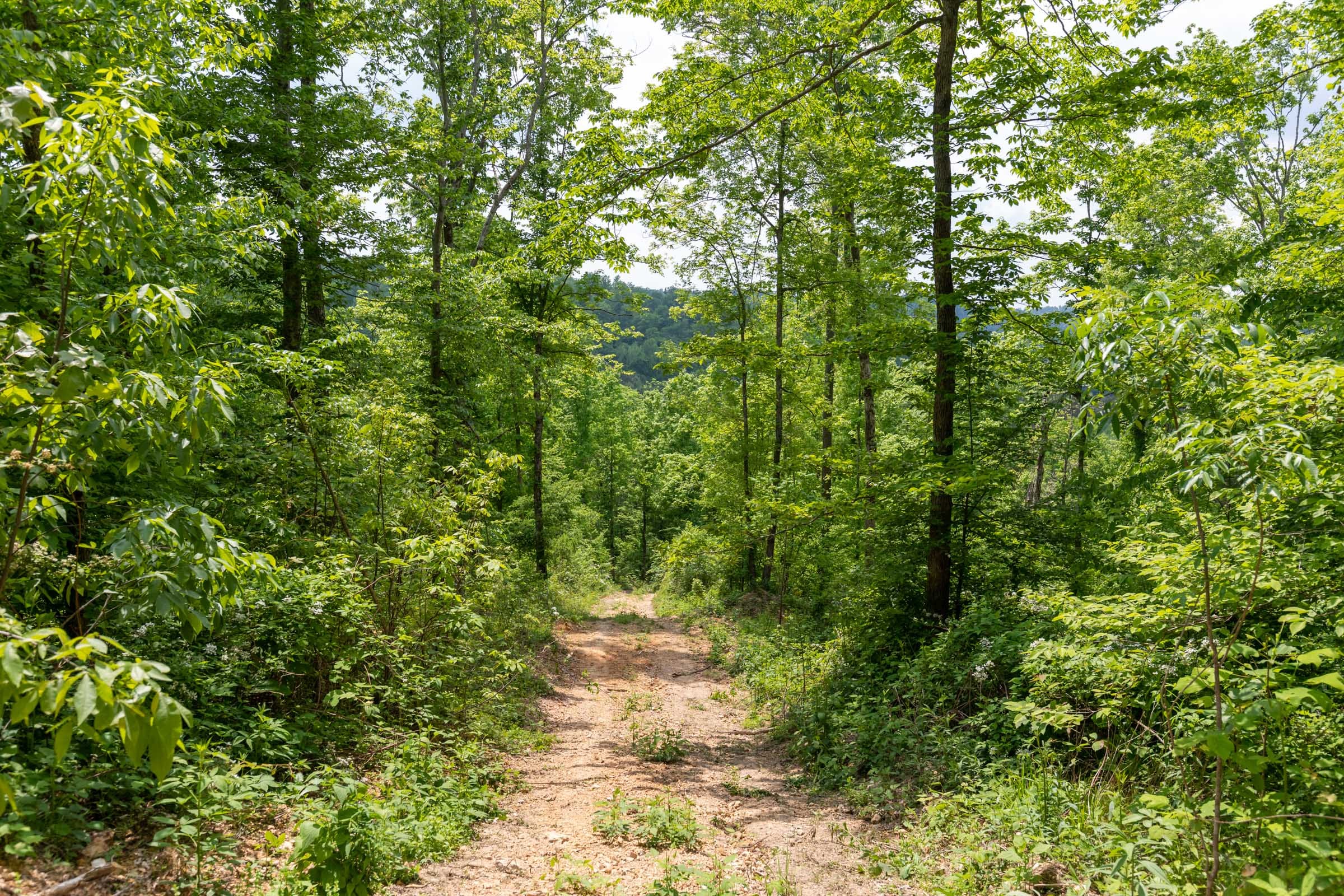 Cedar Creek Tract 30 photo 1