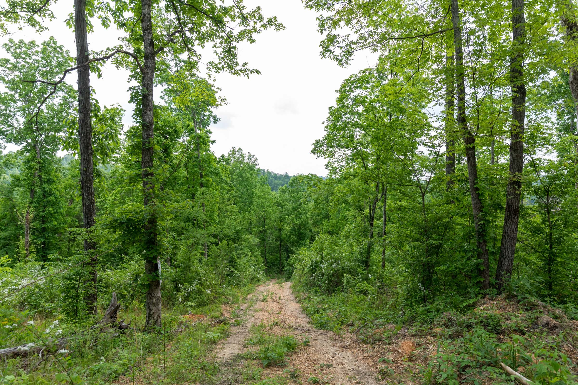 Cedar Creek Tract 30 photo 8