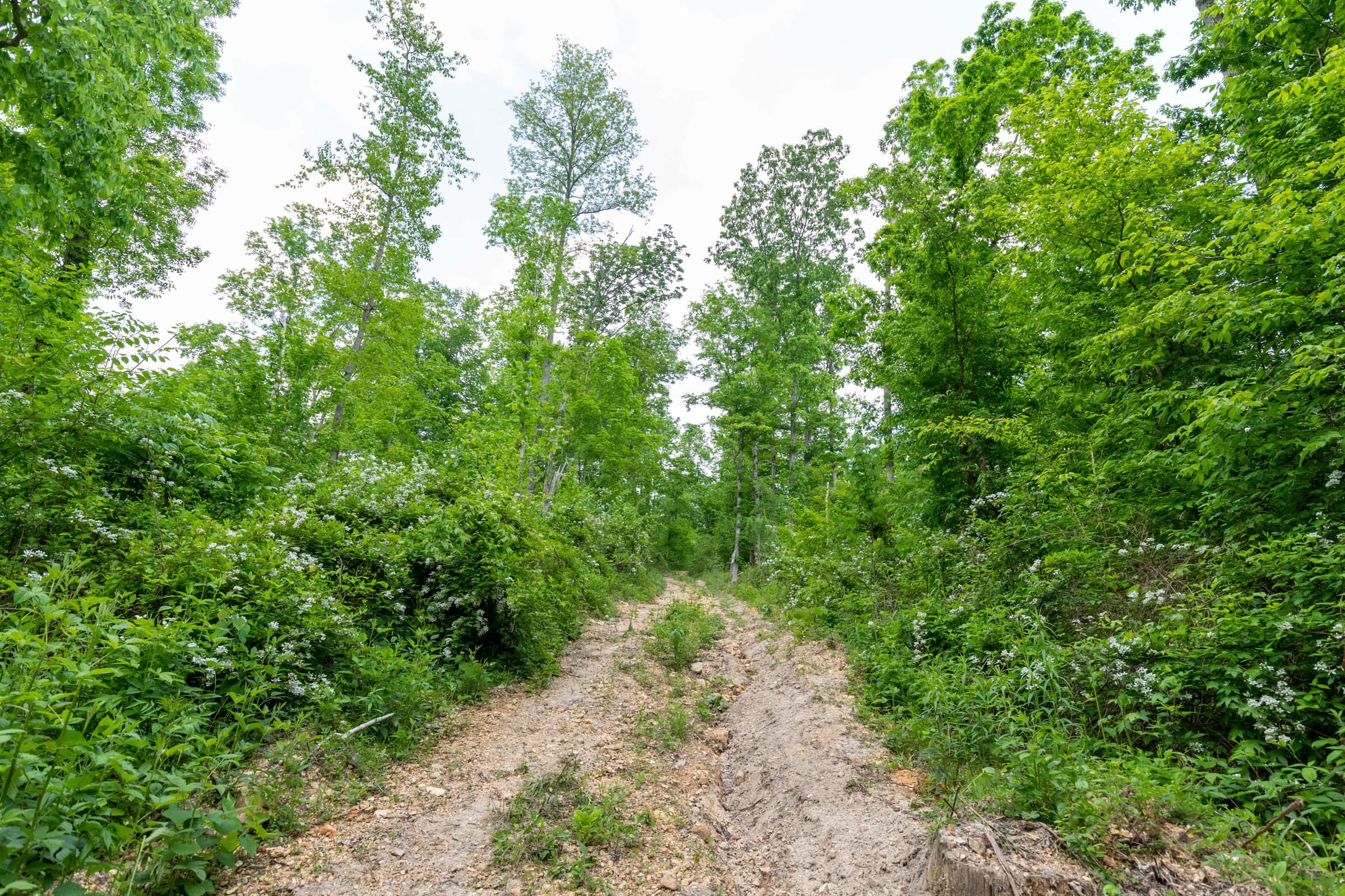 Cedar Creek Tract 30 photo 10