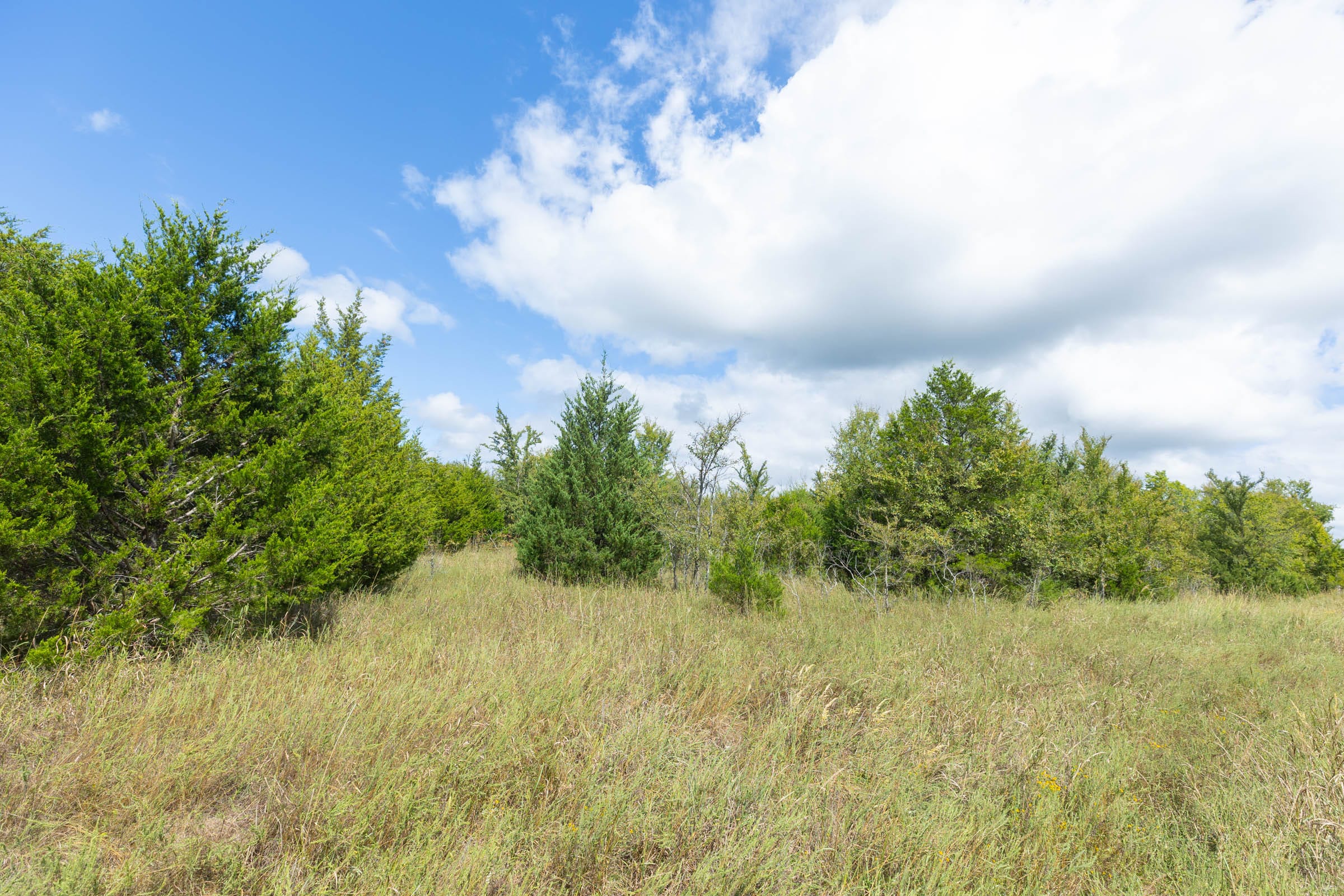 Reserves At Cattail Cove Phase II Tract 104 photo 13