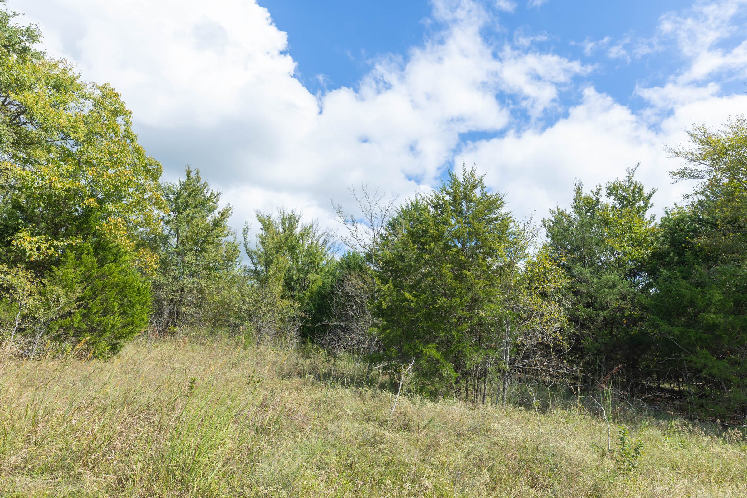 Reserves At Cattail Cove Phase II Tract 104 photo 12