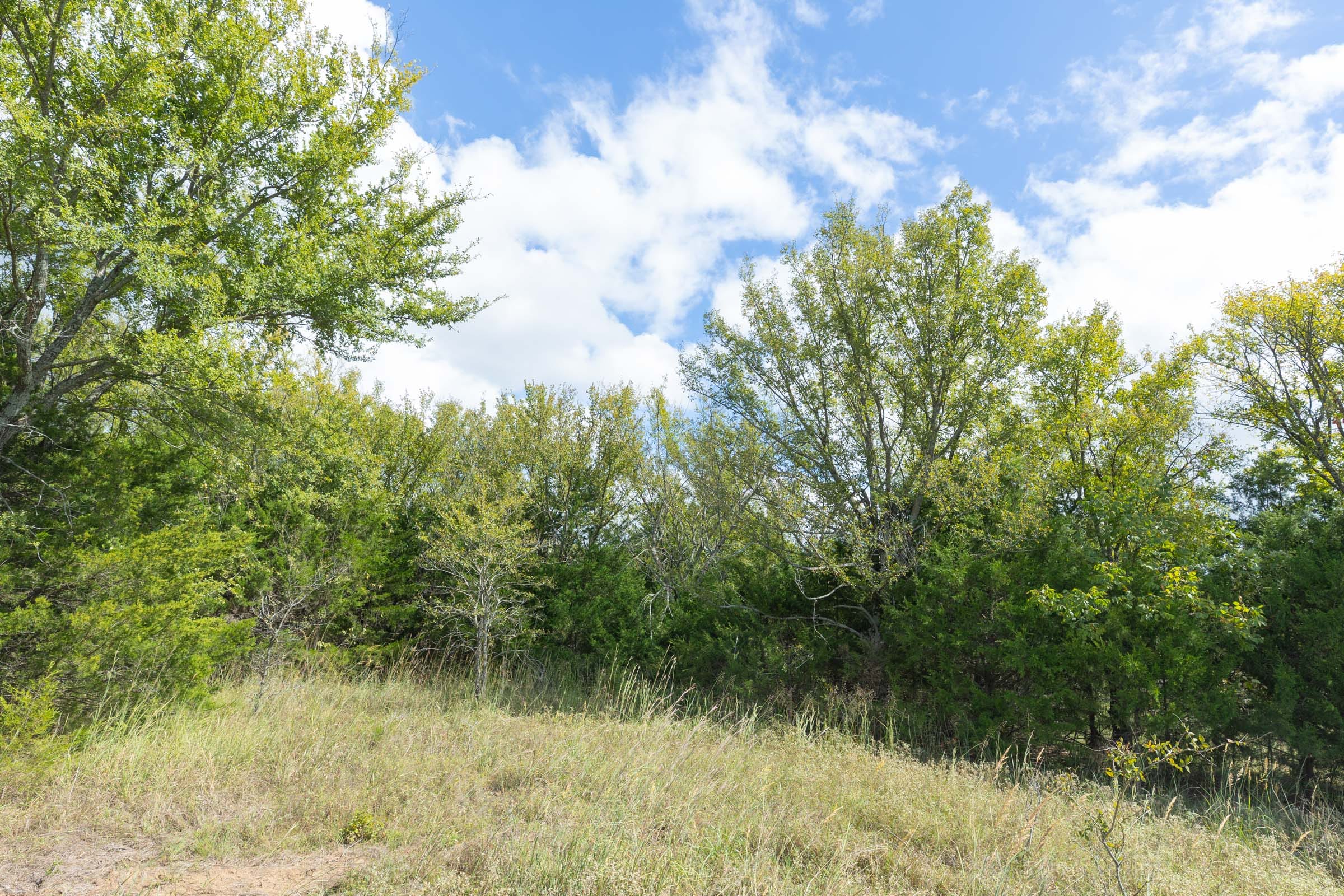 Reserves At Cattail Cove Phase II Tract 104 photo 11
