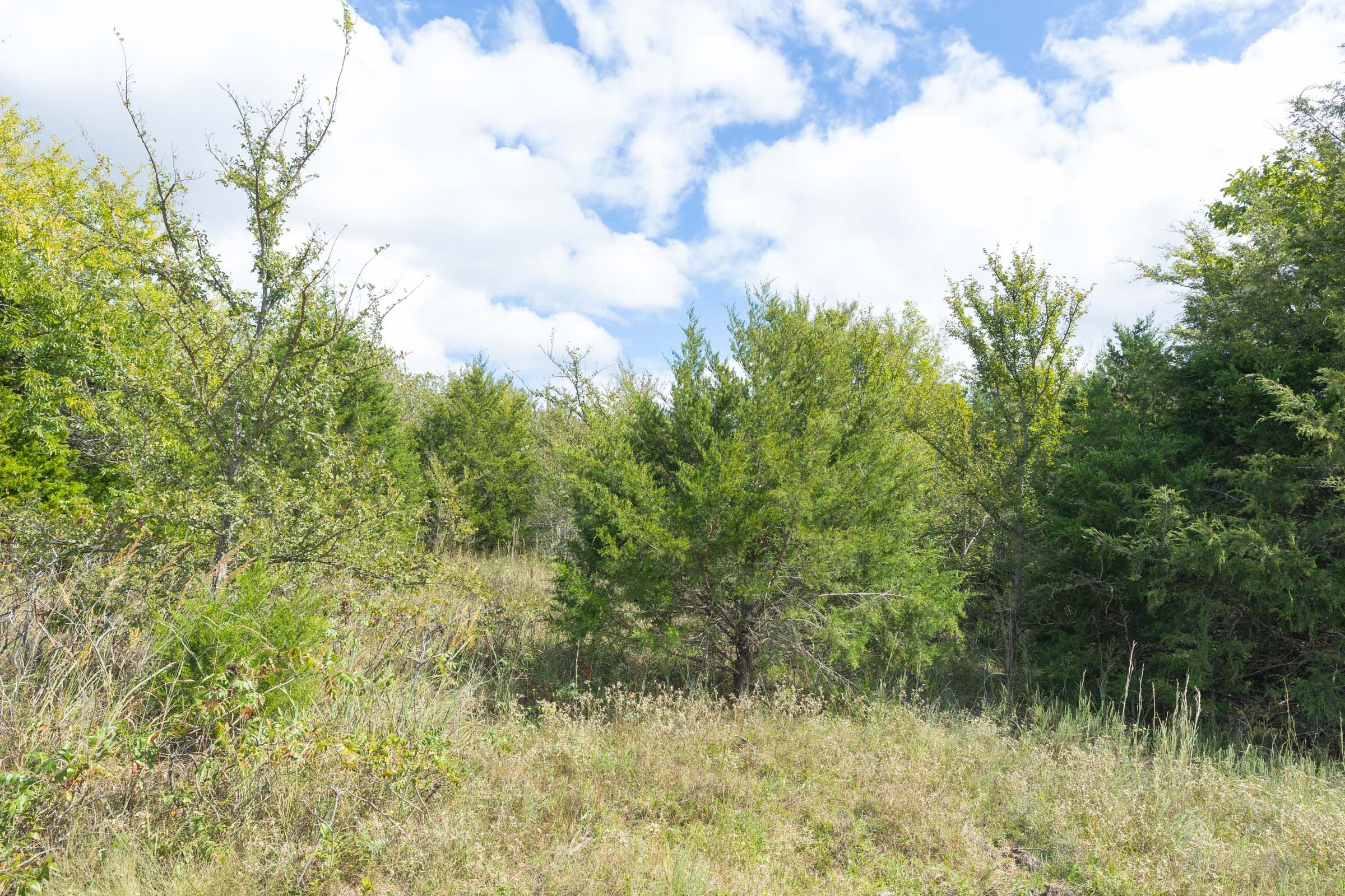 Reserves At Cattail Cove Phase II Tract 104 photo 9