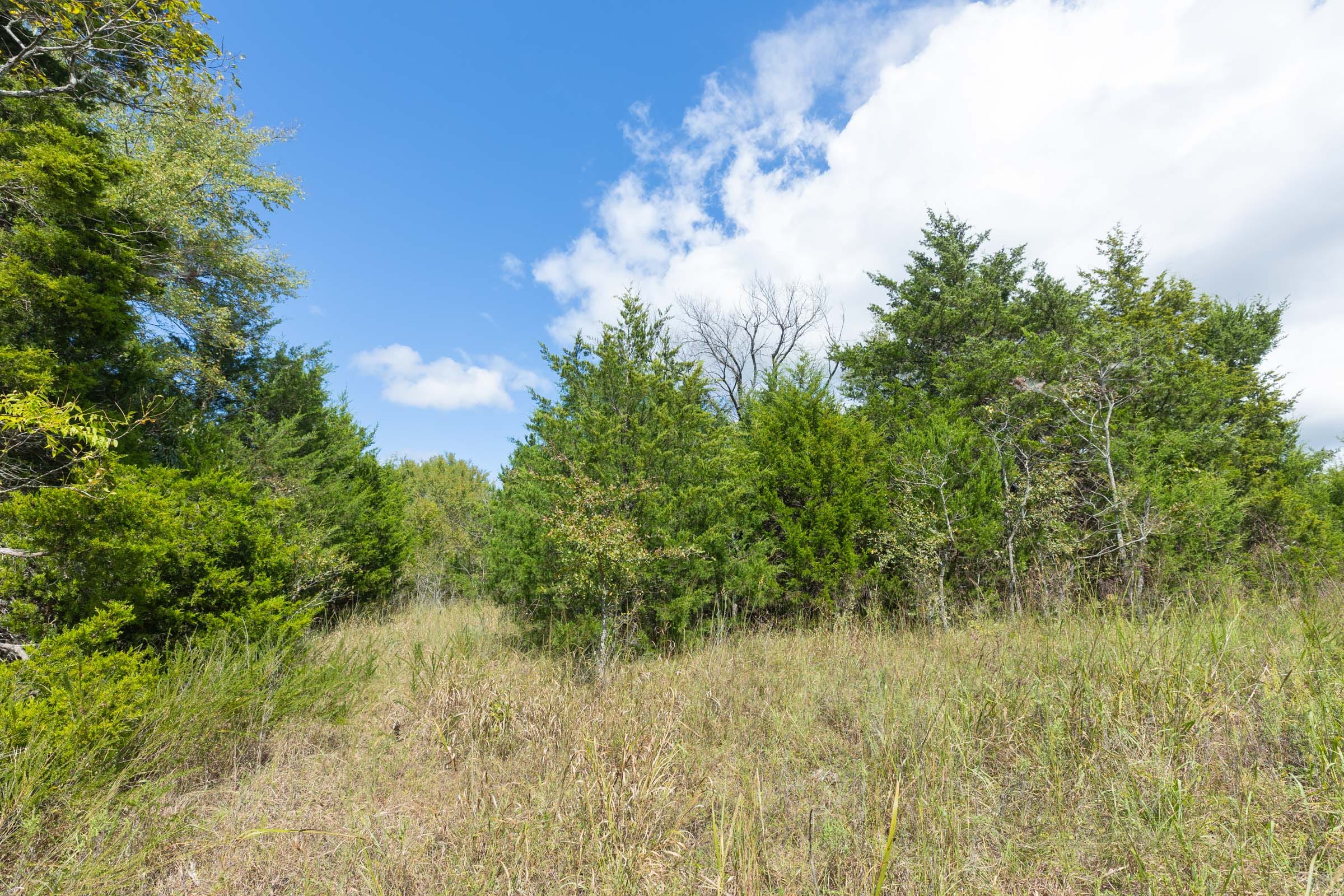 Reserves At Cattail Cove Phase II Tract 104 photo 8