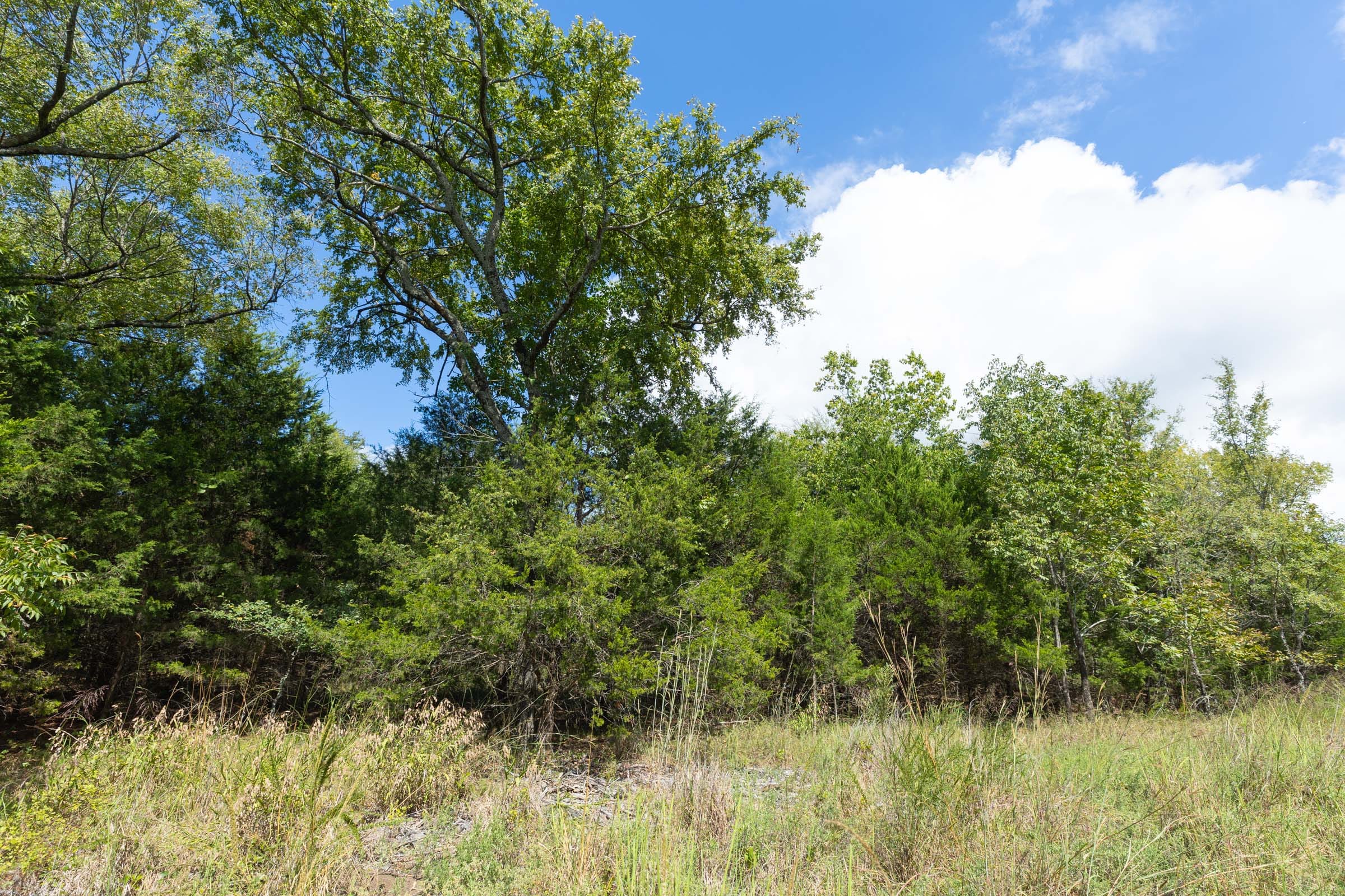 Reserves At Cattail Cove Phase II Tract 104 photo 7