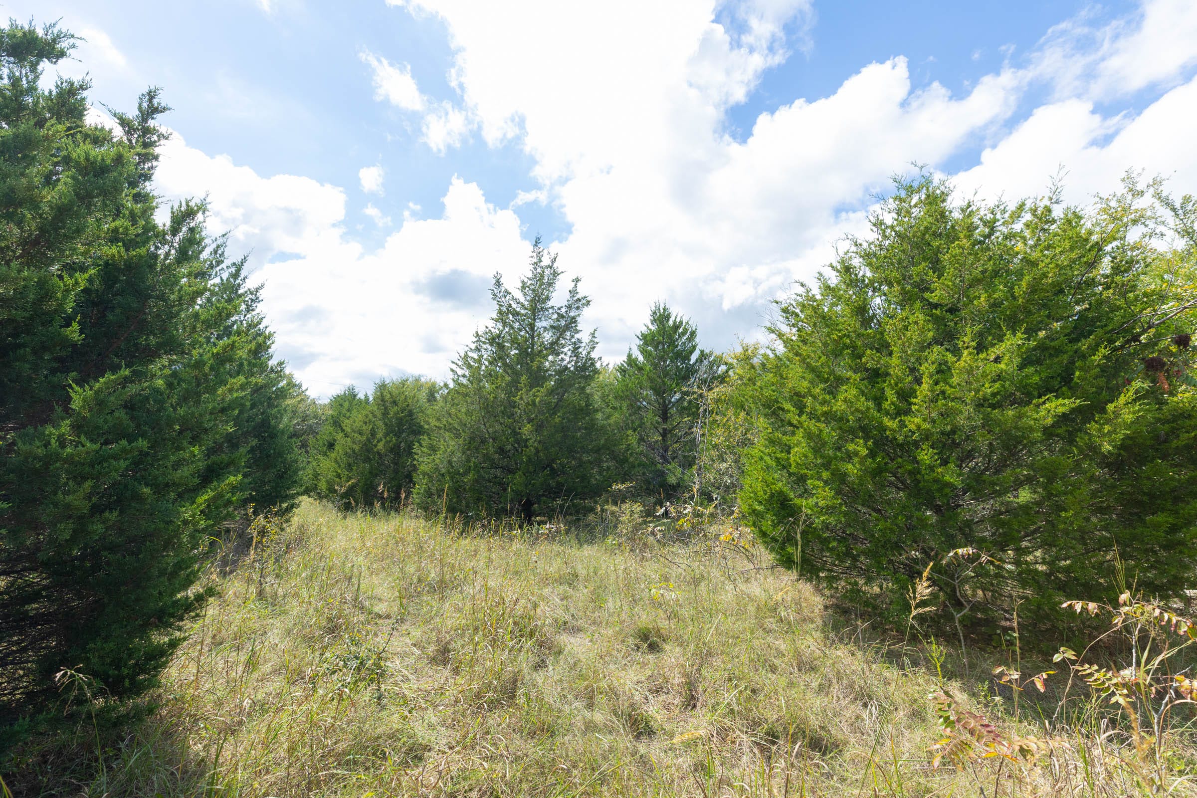 Reserves At Cattail Cove Phase II Tract 104 photo 6