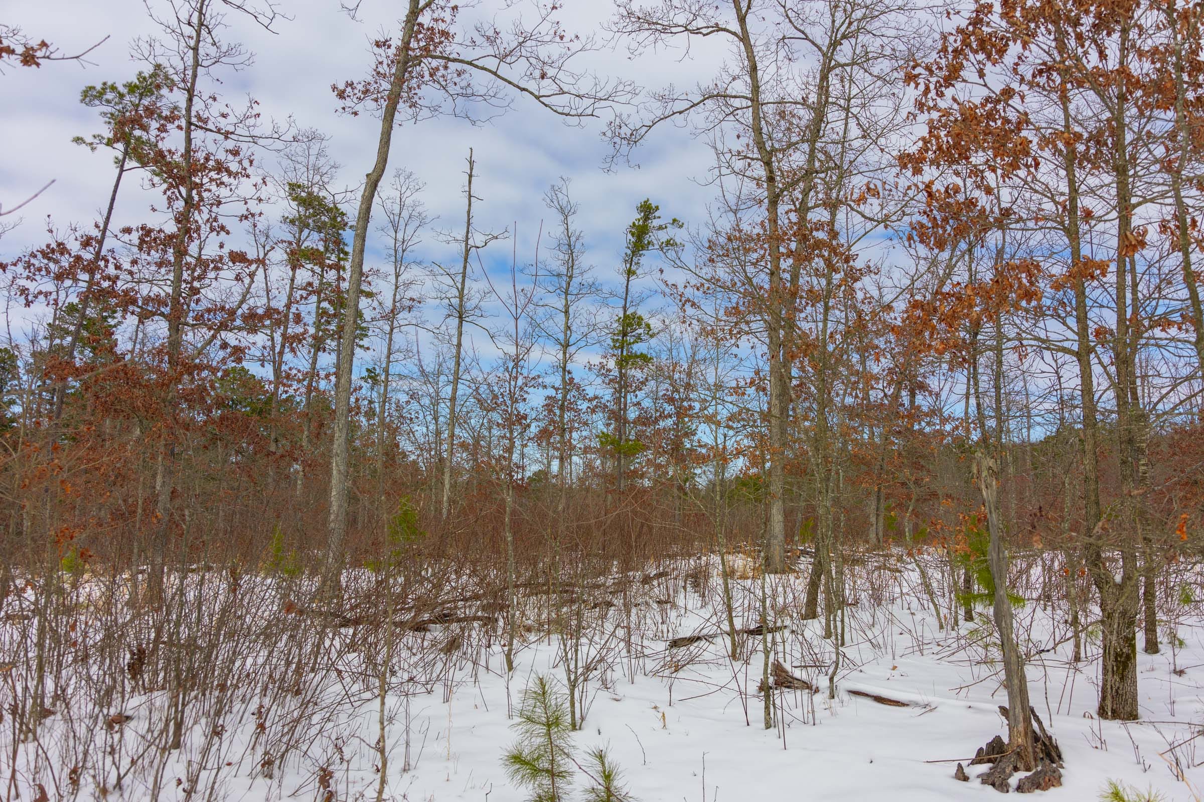Sleepy Hollow Phase I Tract 7 photo 11