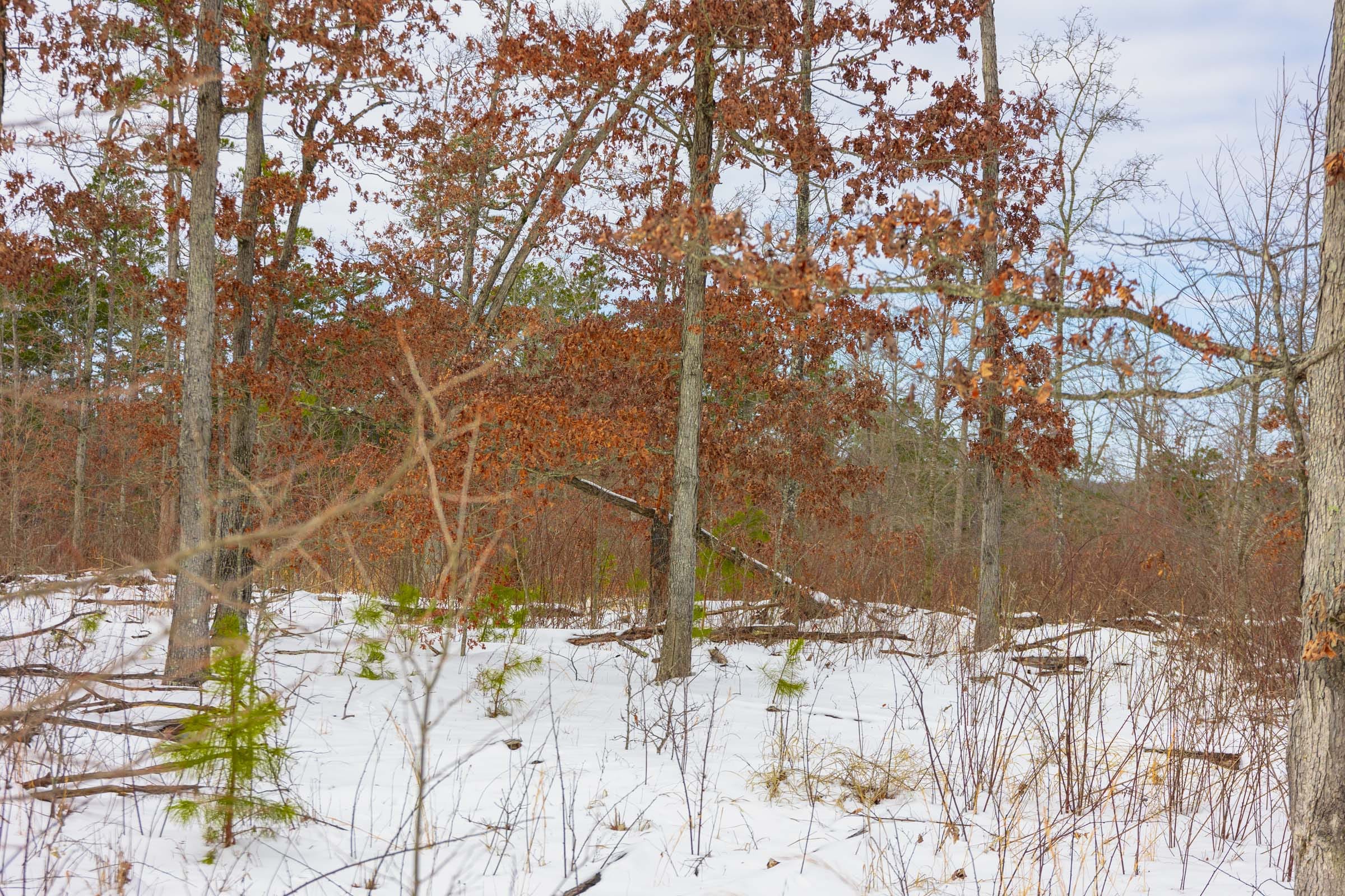 Sleepy Hollow Phase I Tract 7 photo 10