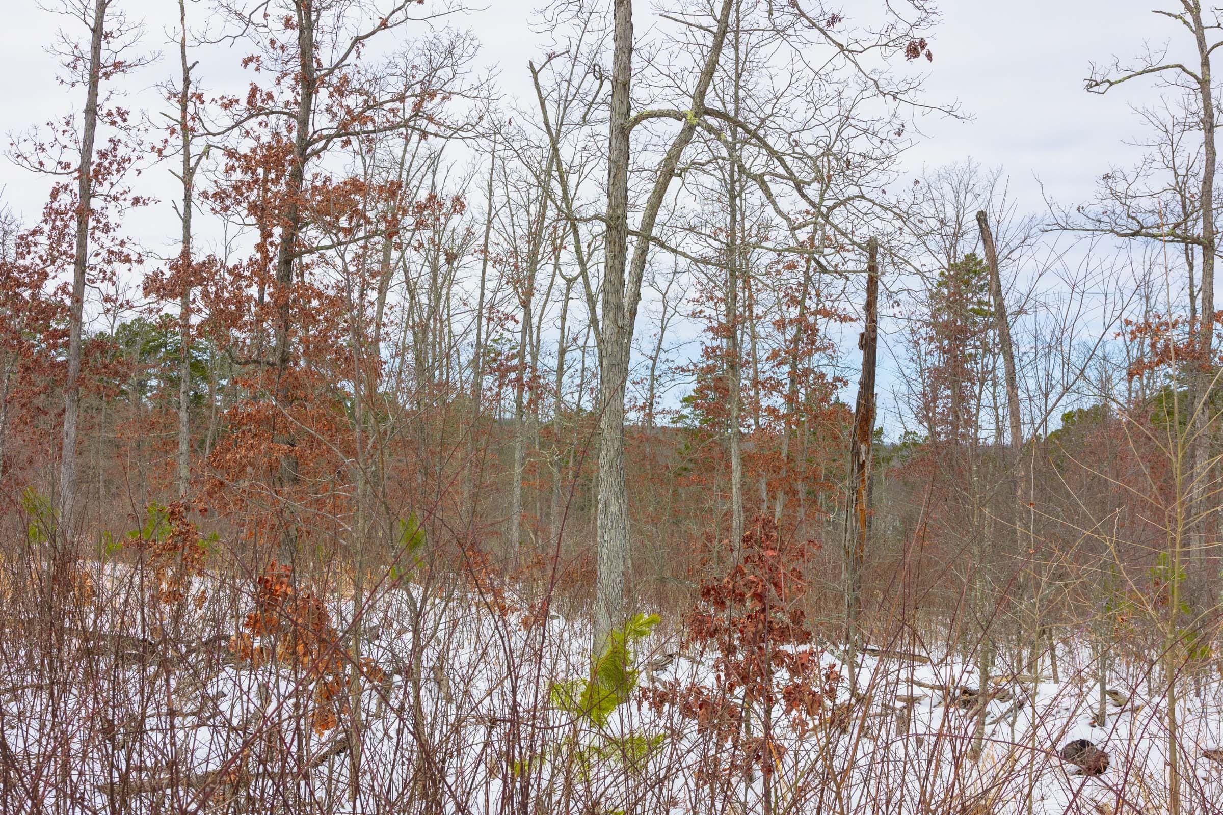 Sleepy Hollow Phase I Tract 7 photo 8