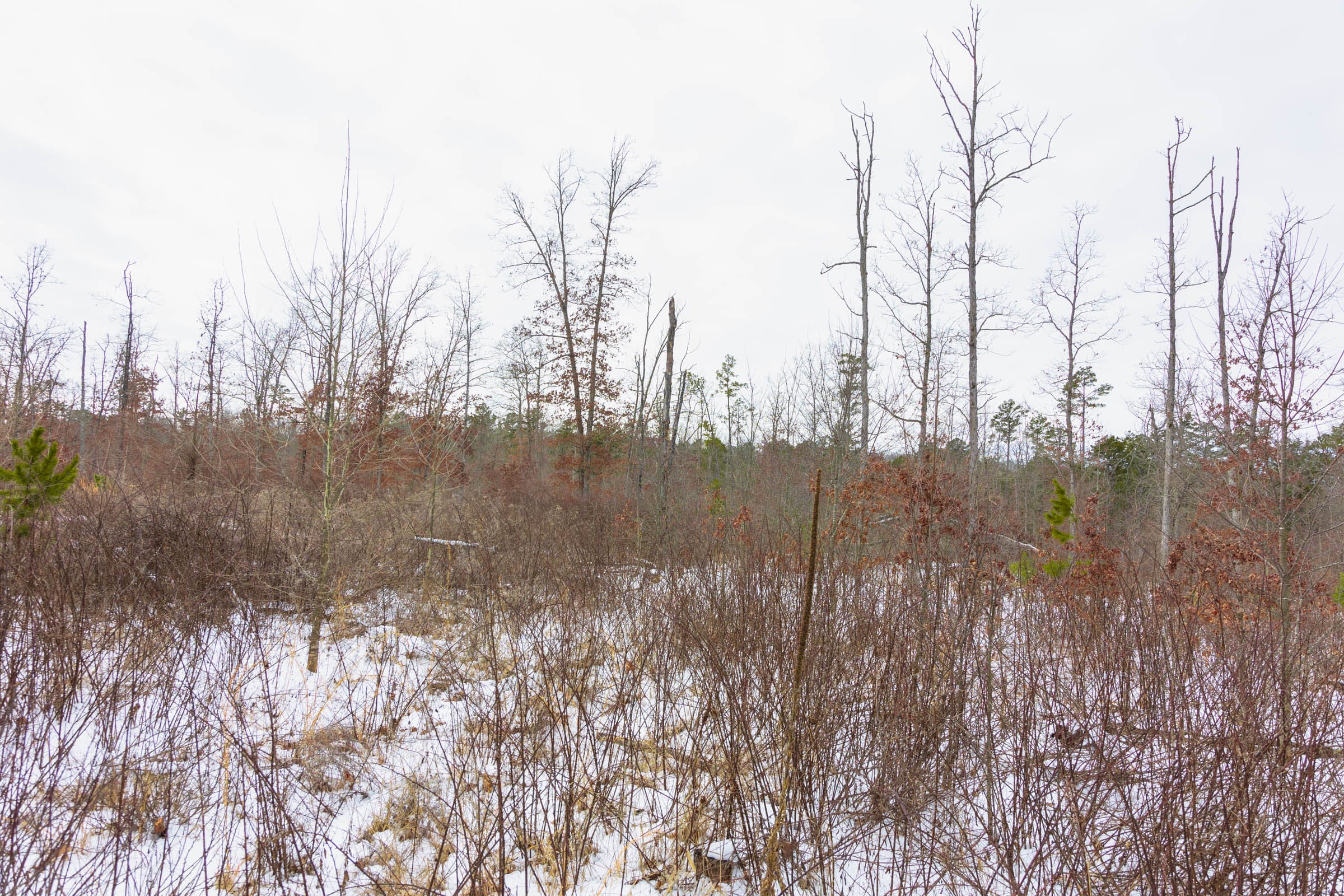 Sleepy Hollow Phase I Tract 7 photo 7