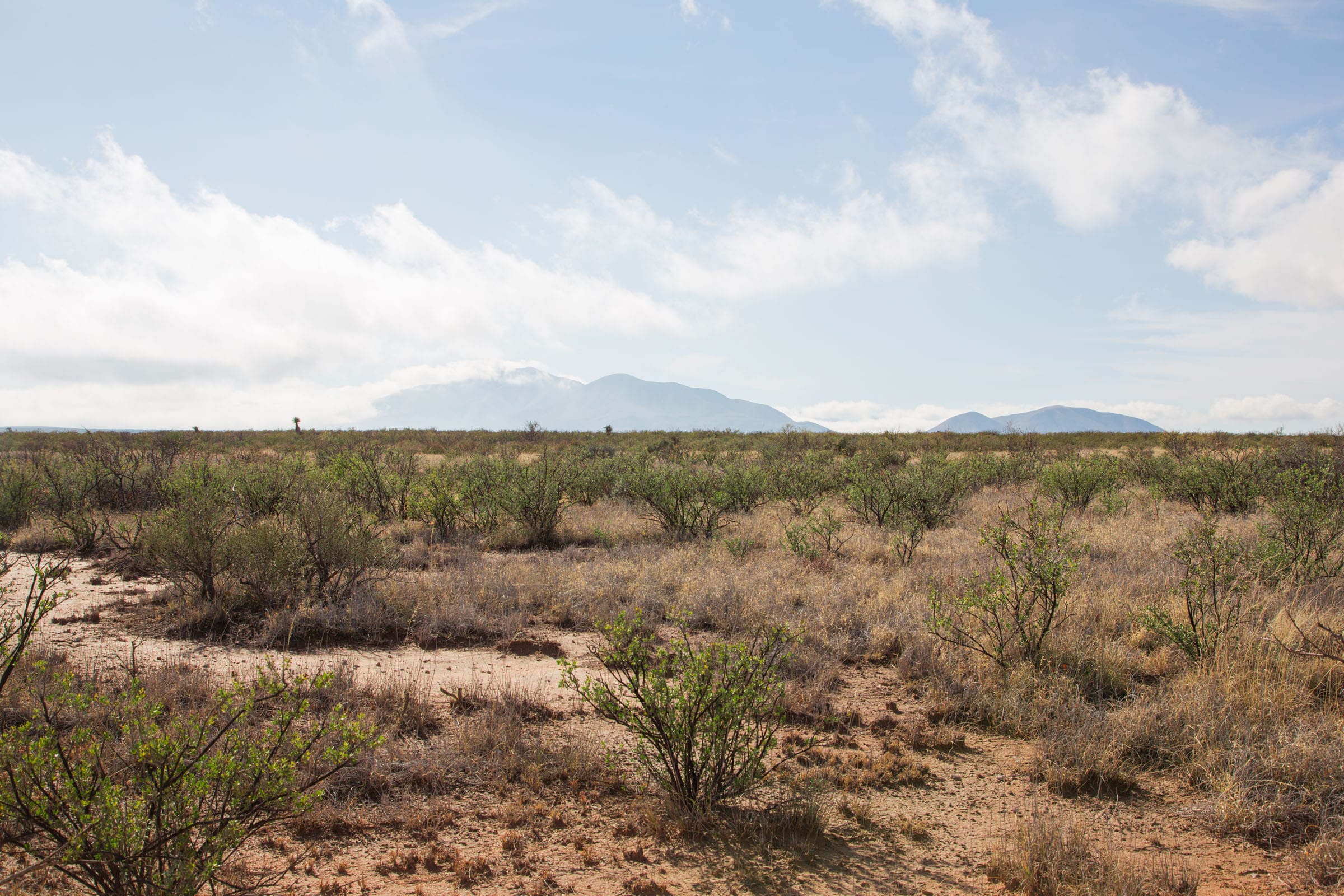 Sunset Ranches Tract 12 photo 3