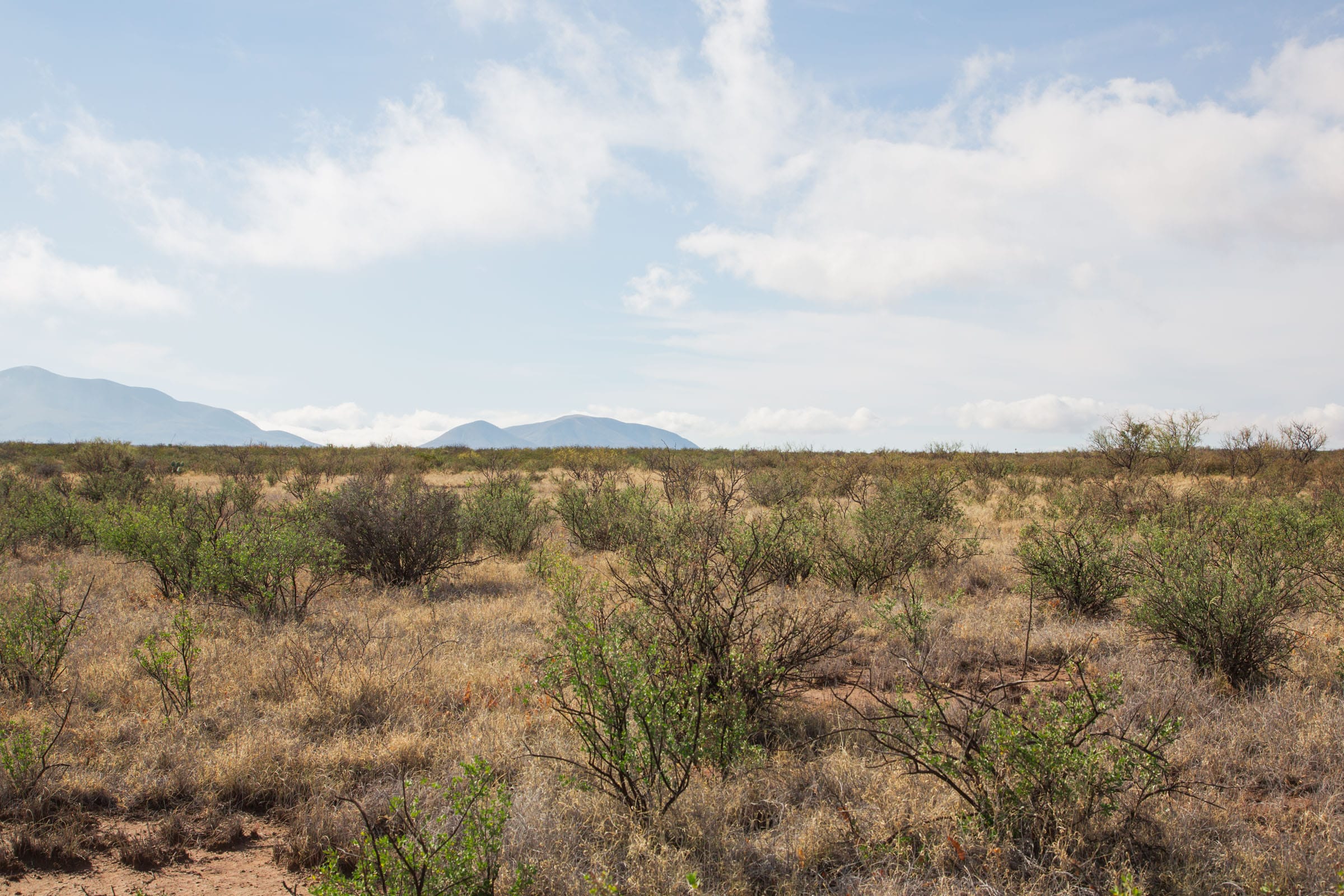 Sunset Ranches Tract 12 photo 4