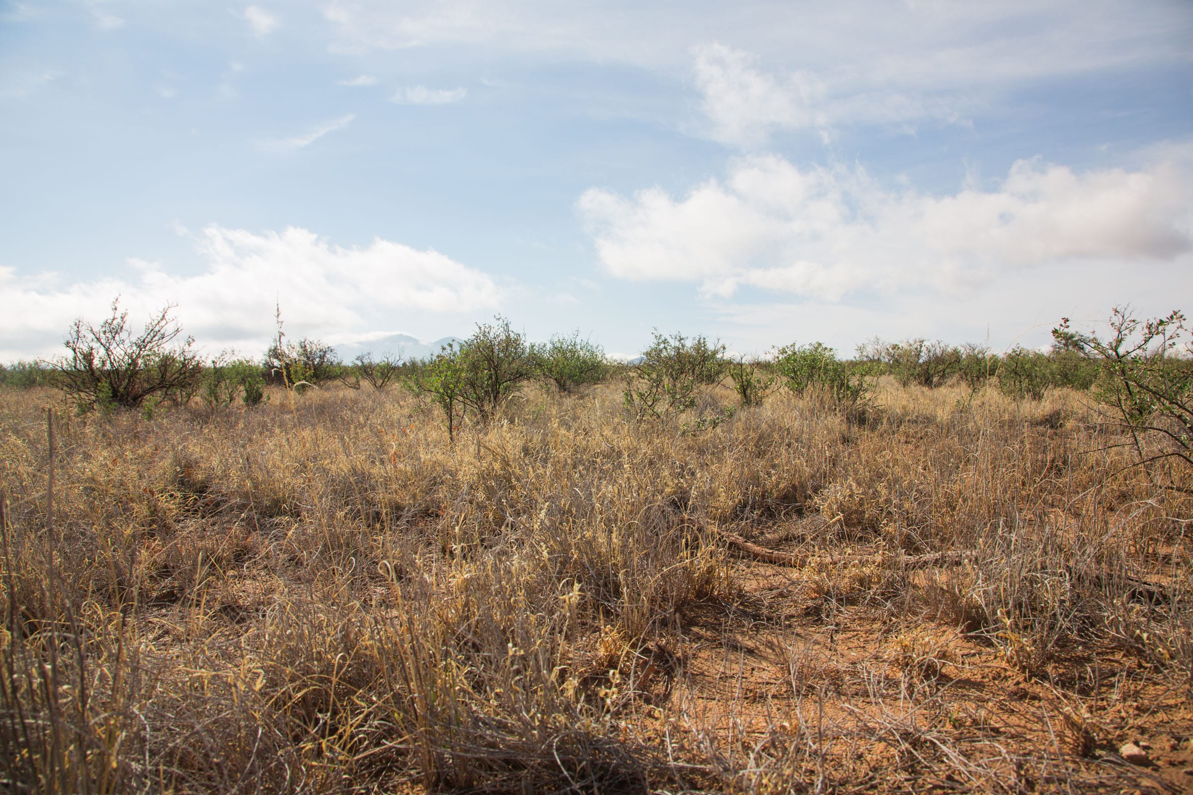 Sunset Ranches Tract 12 photo 7