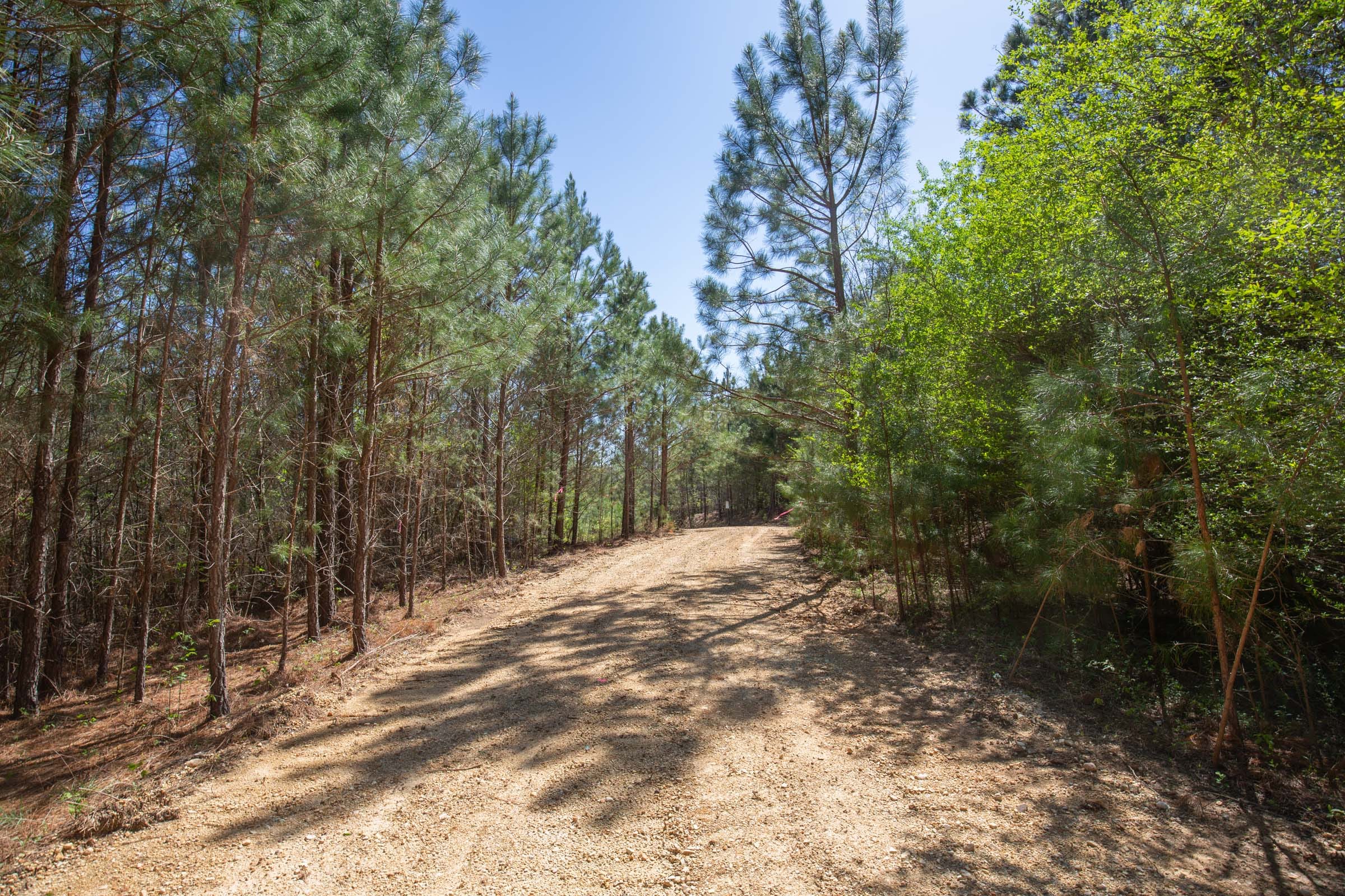 Southern Hills Tract 1 photo 2