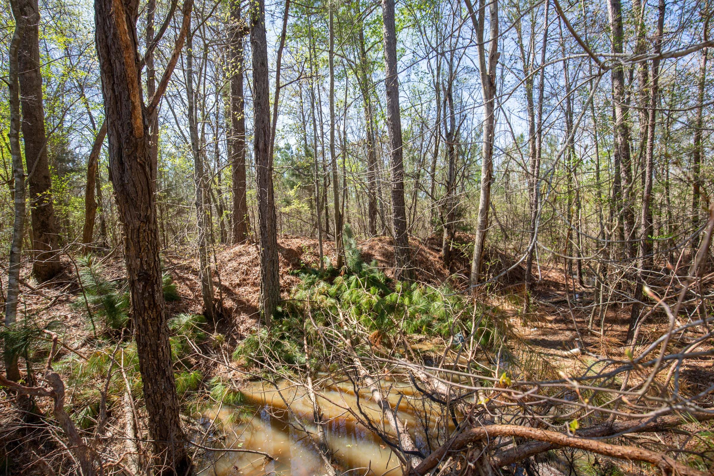Southern Hills Tract 1 photo 3