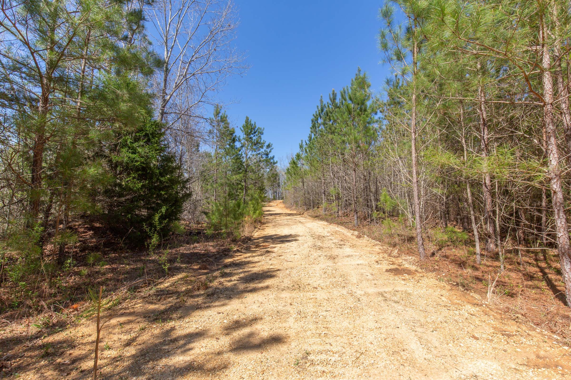 Southern Hills Tract 1 photo 4