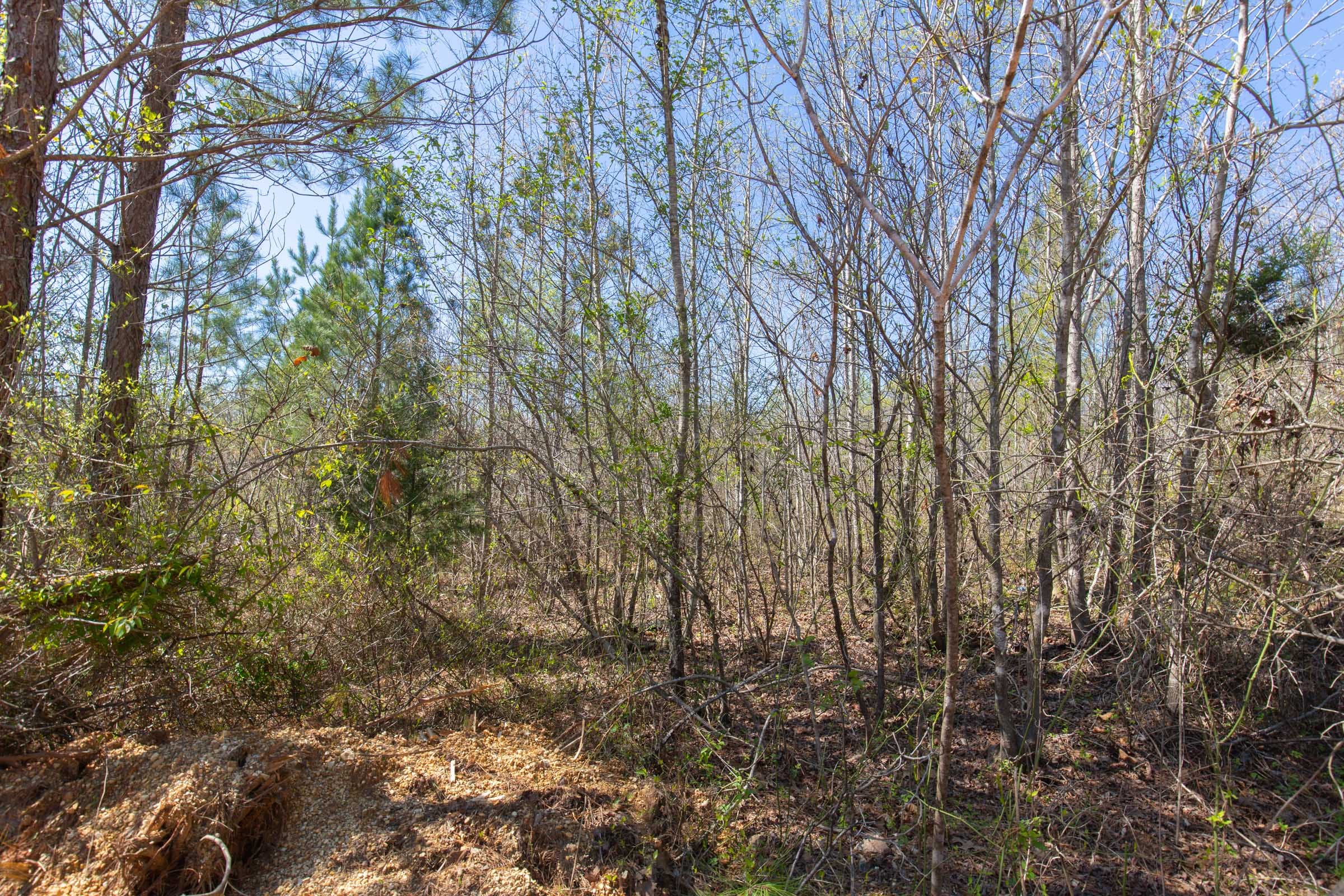 Southern Hills Tract 1 photo 9