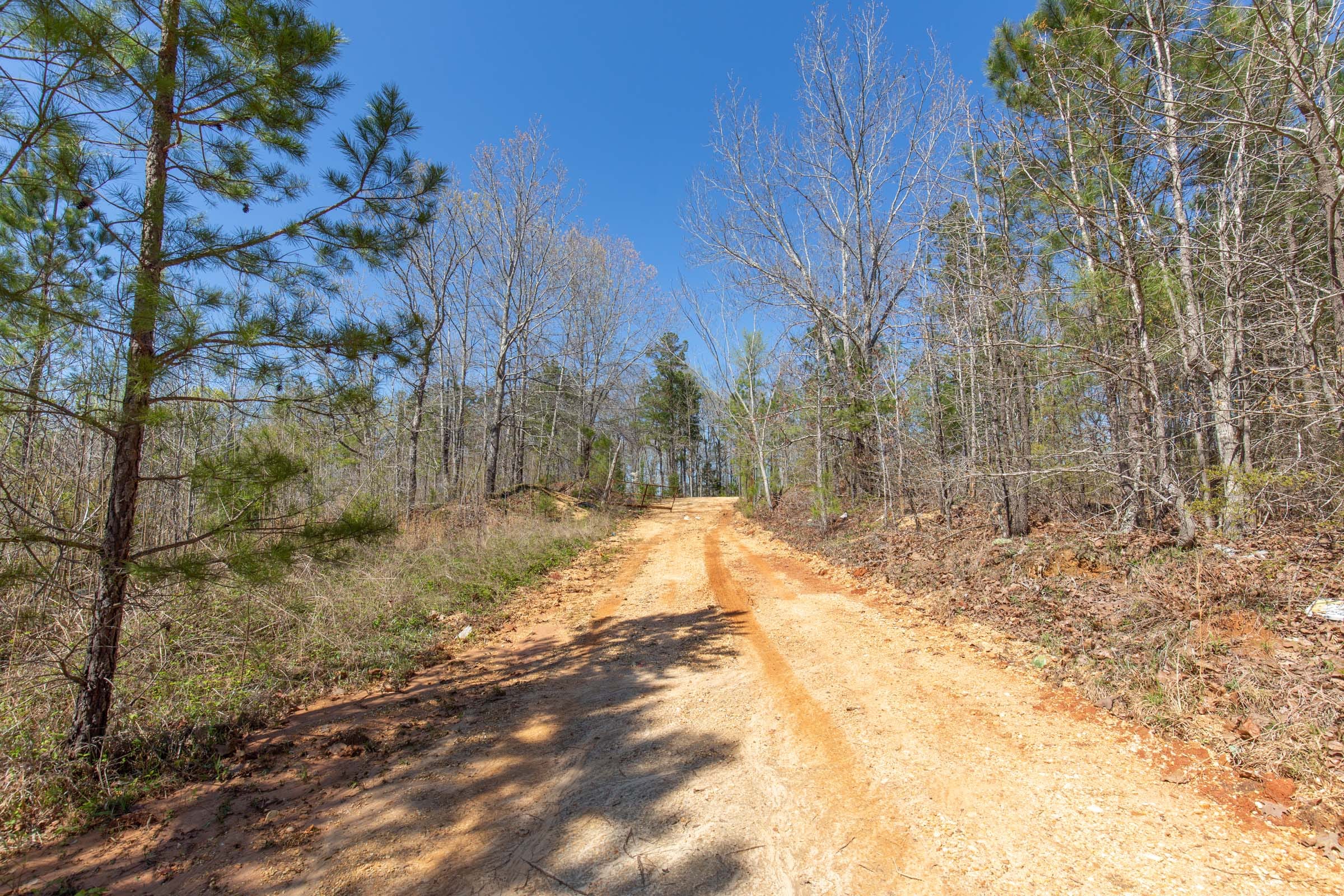 Southern Hills Tract 1 photo 6
