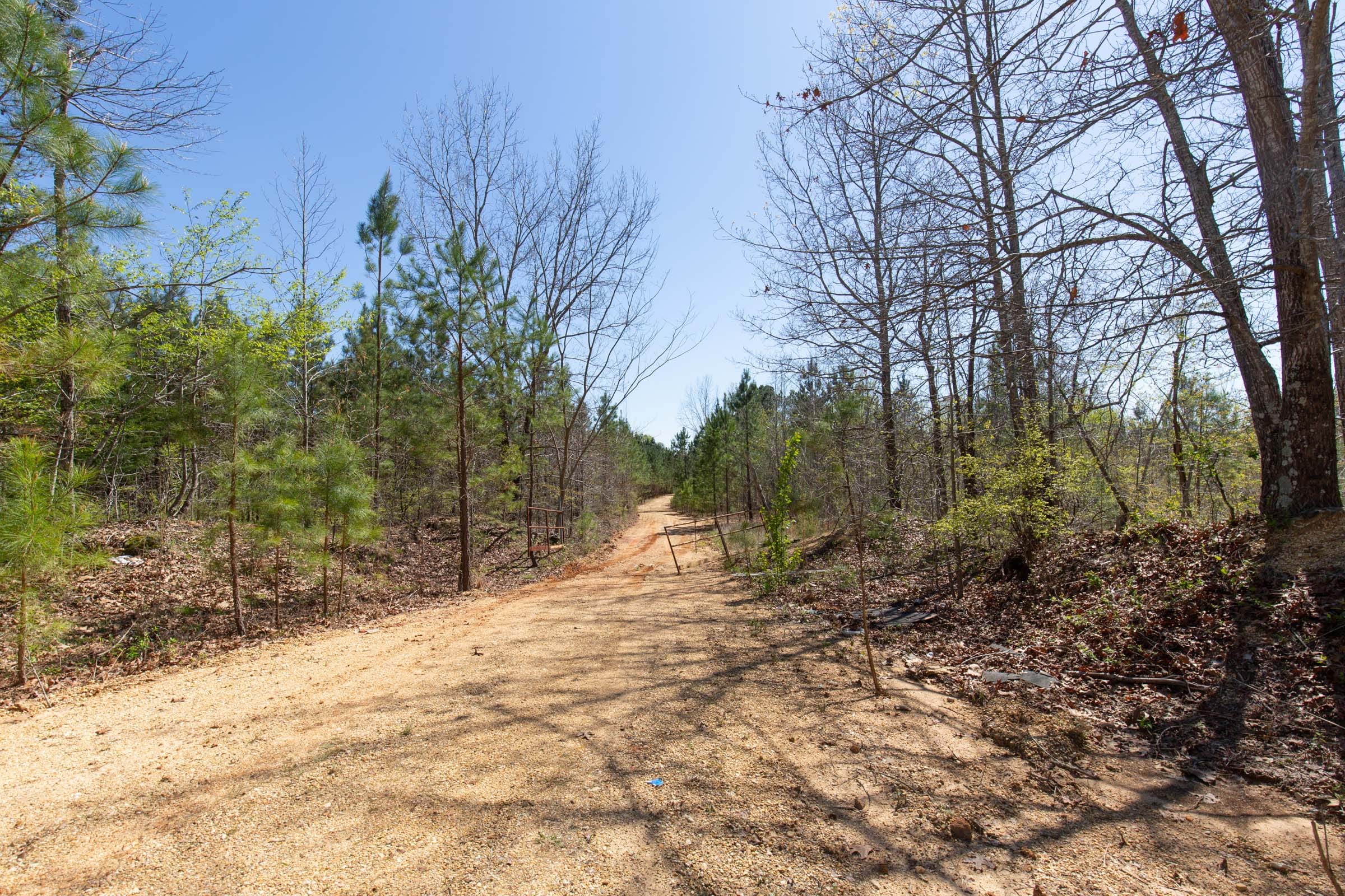 Southern Hills Tract 1 photo 8