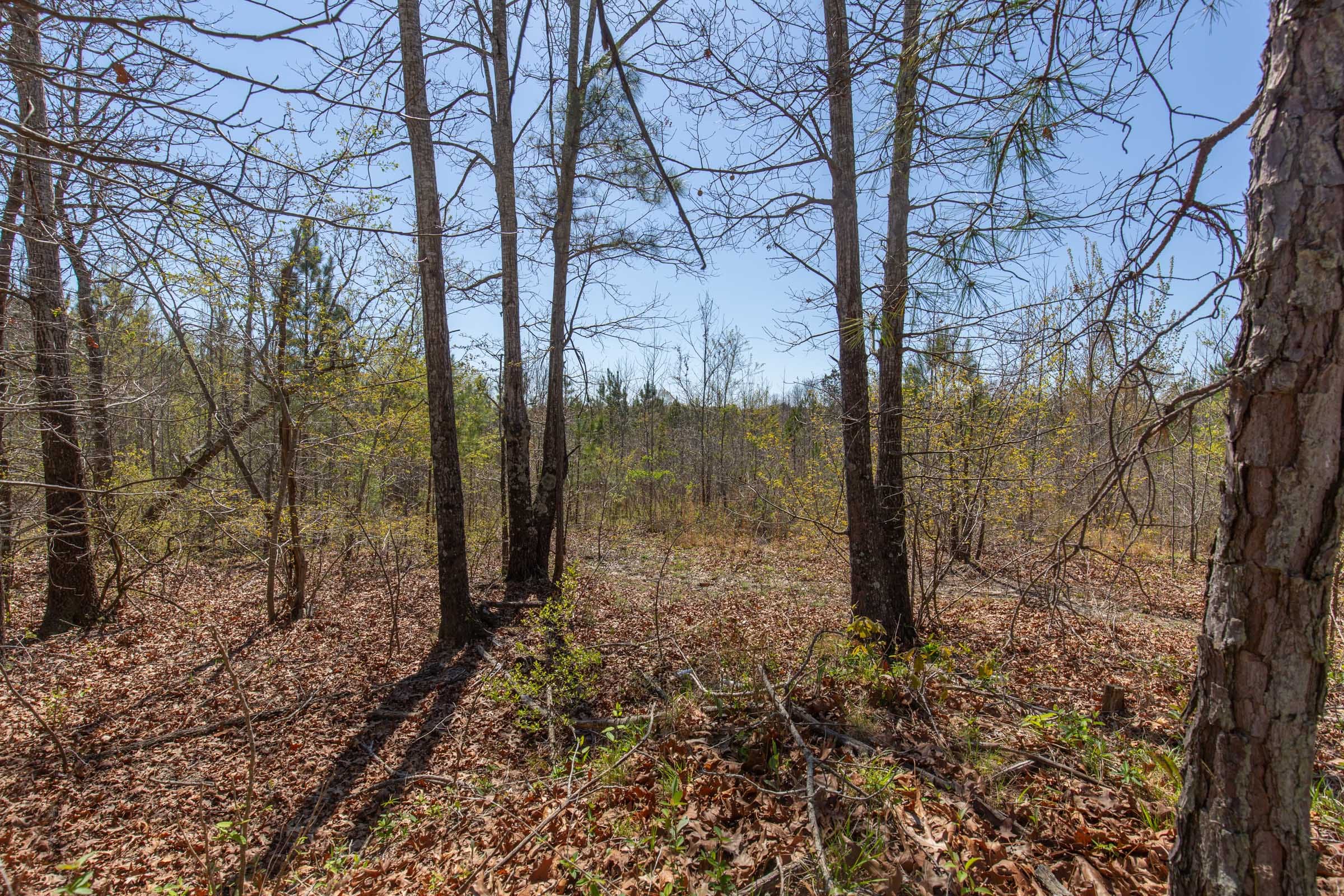Southern Hills Tract 1 photo 11