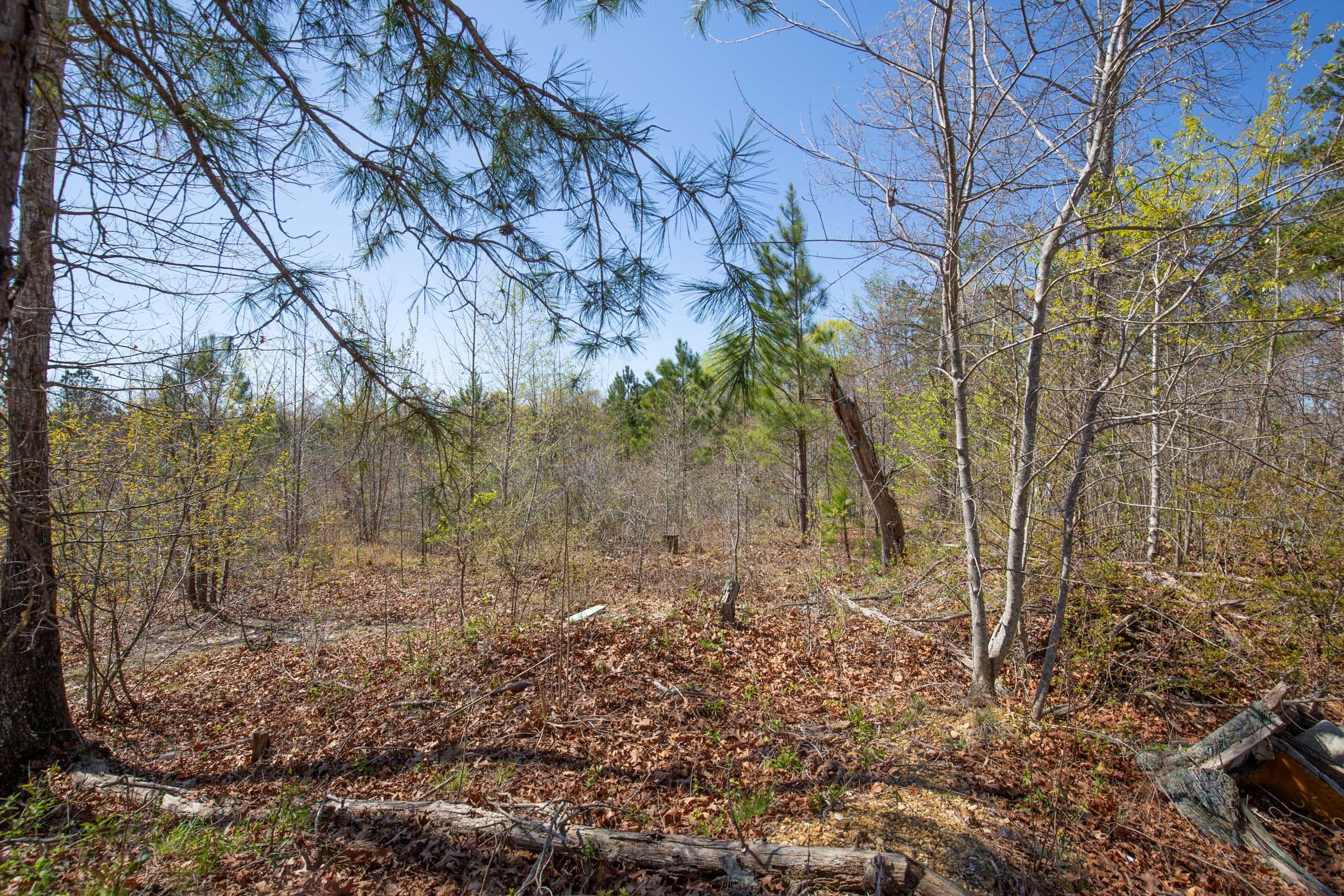 Southern Hills Tract 1 photo 15