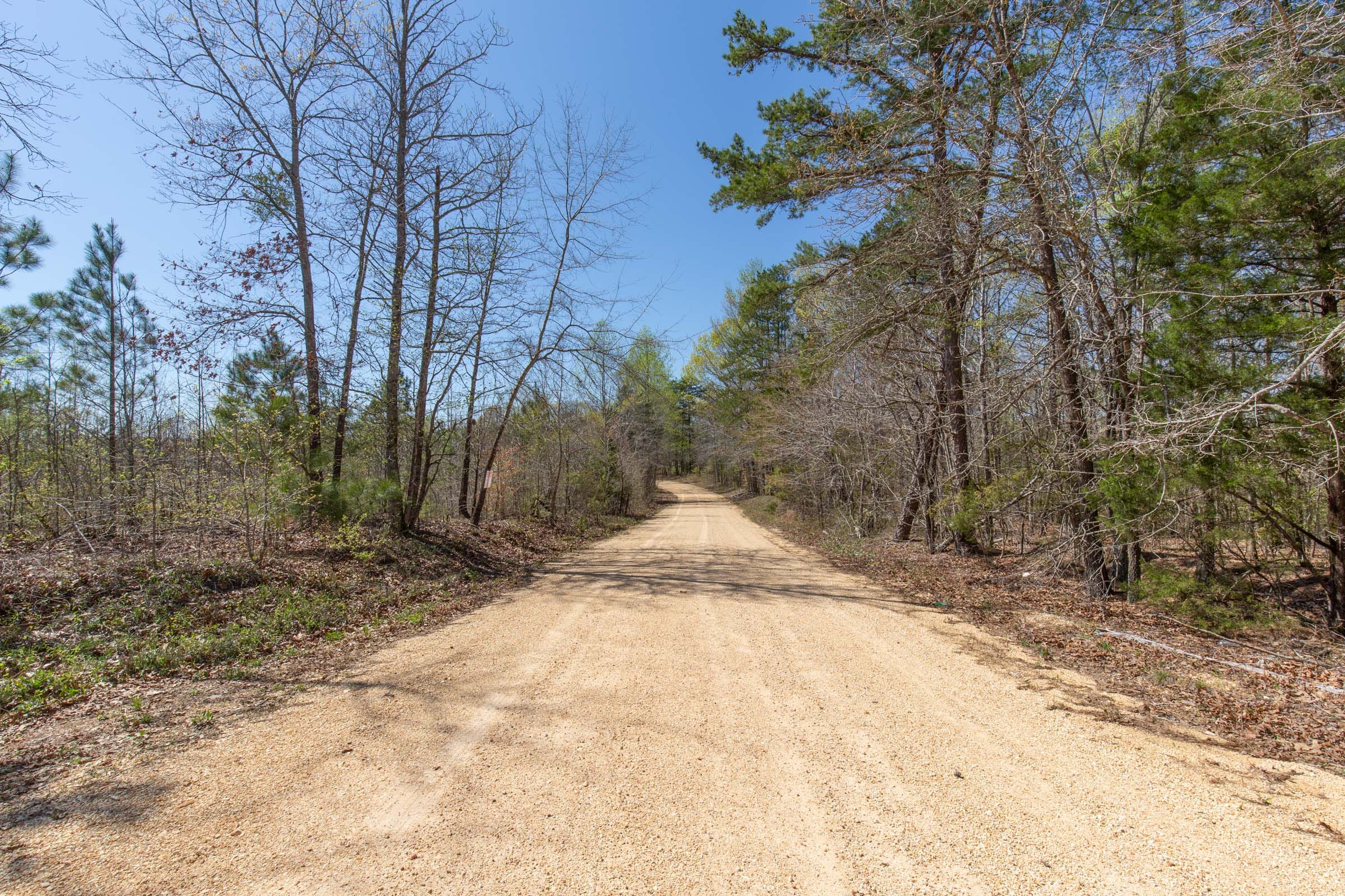 Southern Hills Tract 1 photo 10