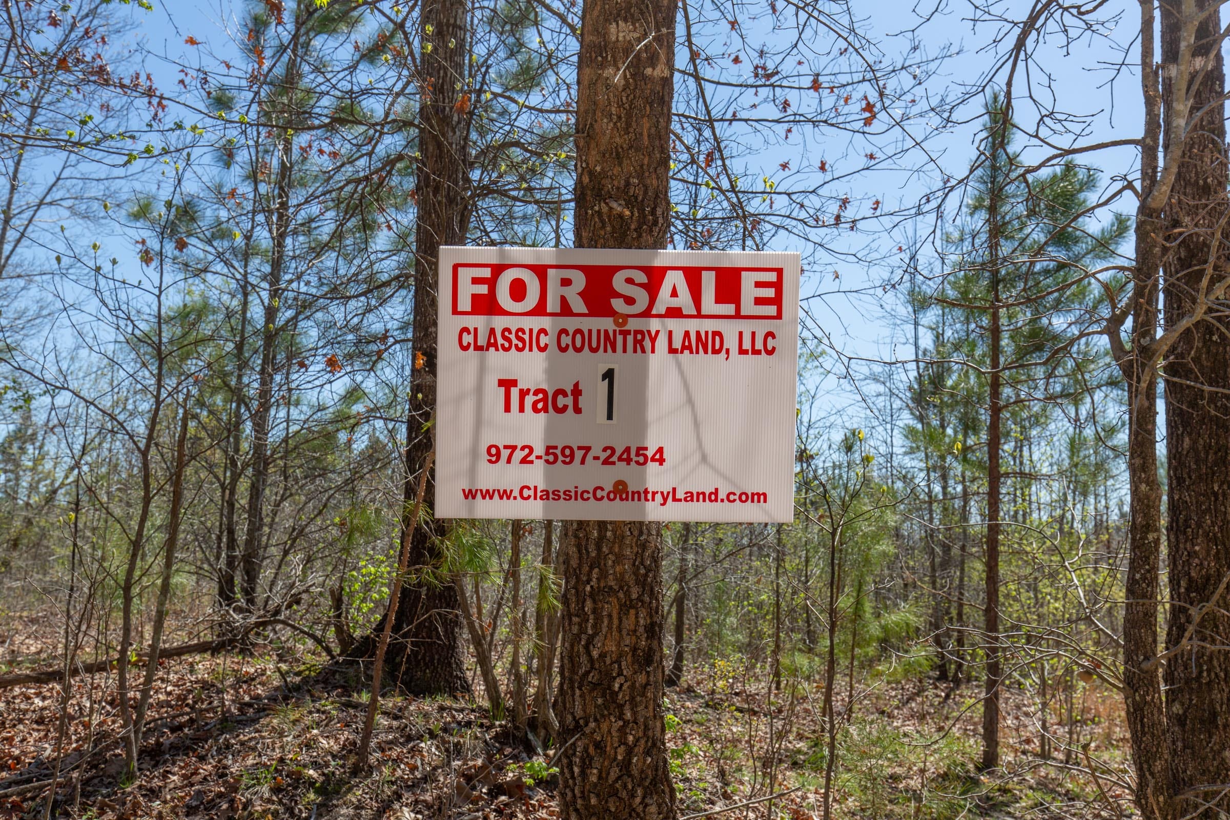 Southern Hills Tract 1 photo 1