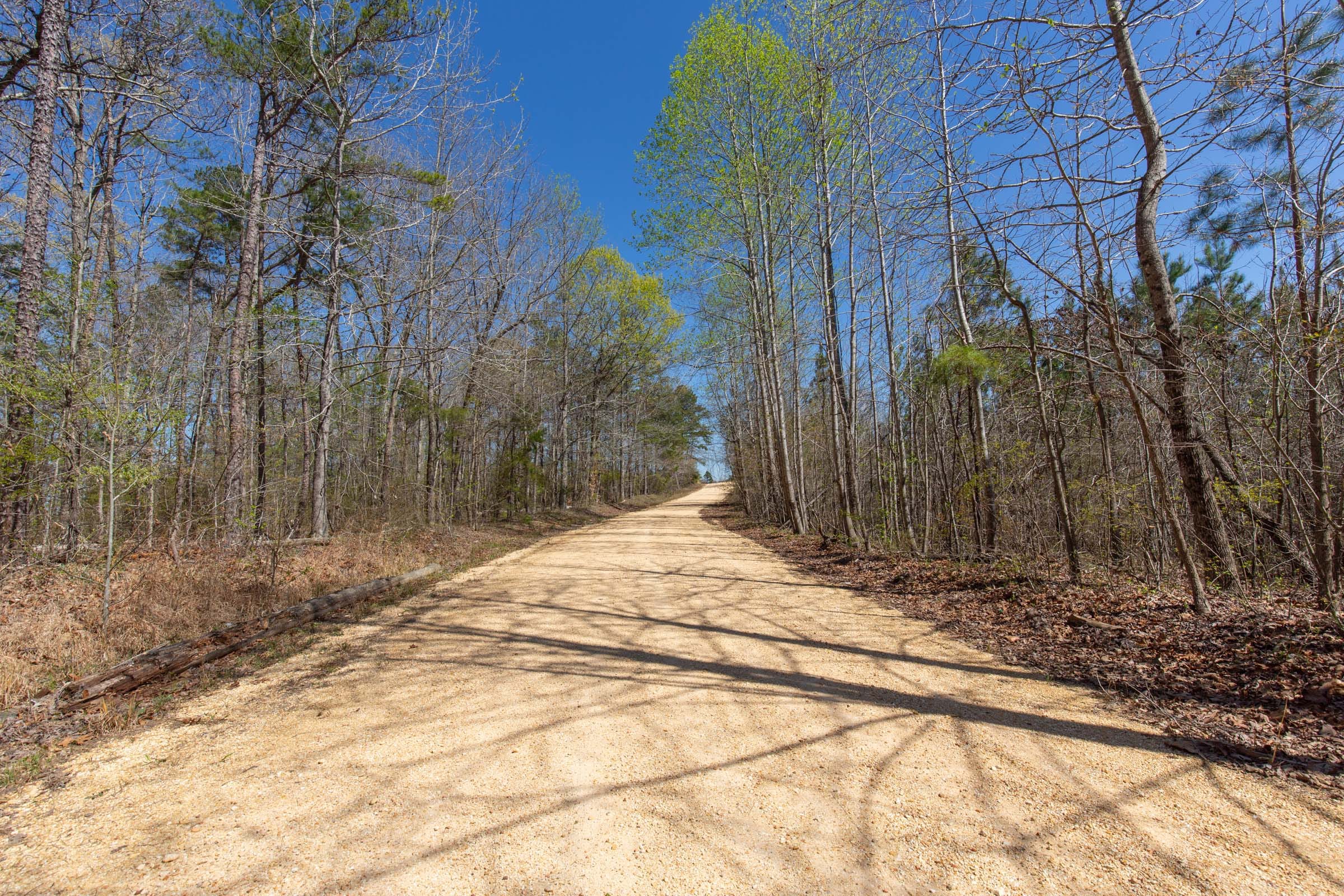 Southern Hills Tract 1 photo 12