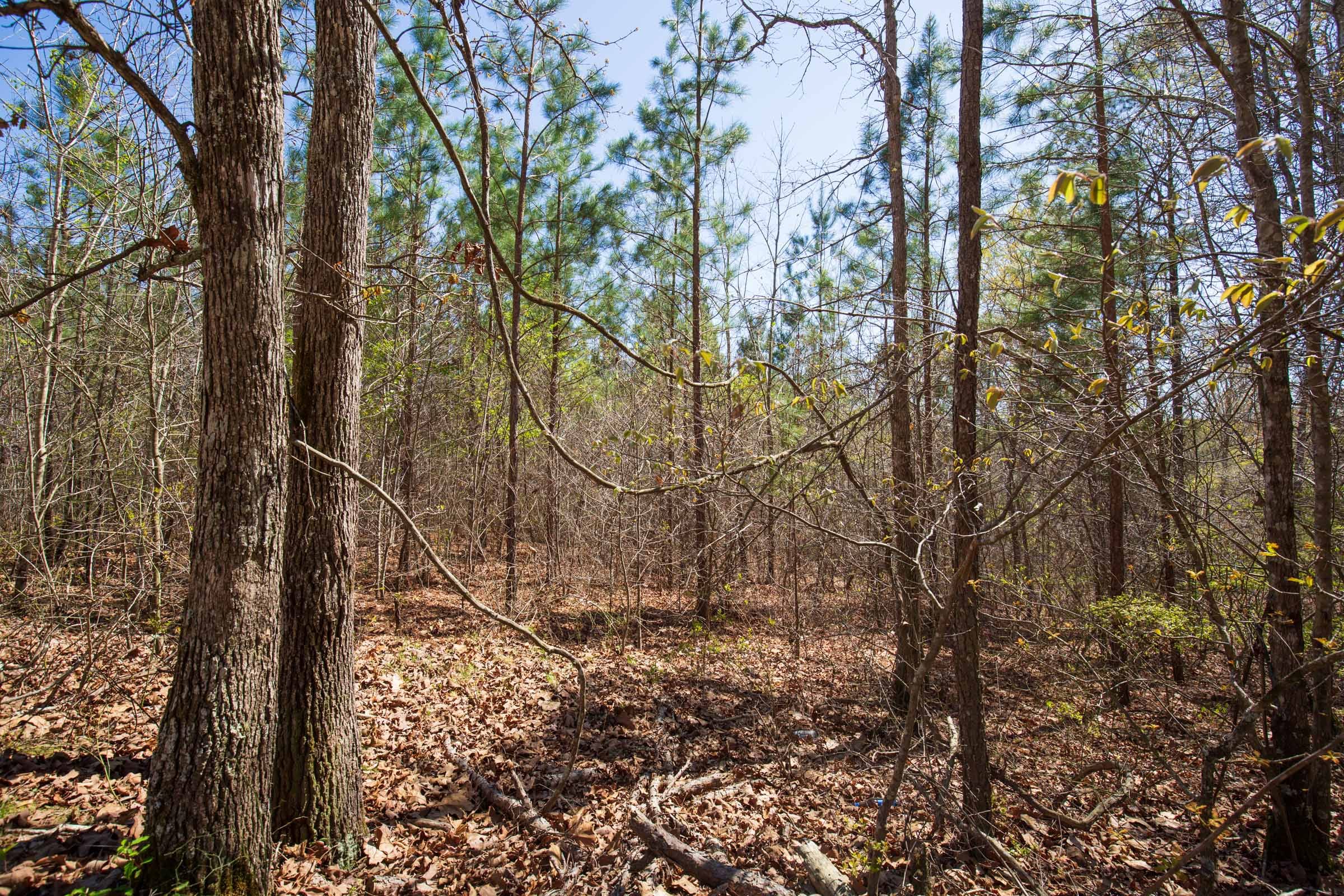 Southern Hills Tract 1 photo 18