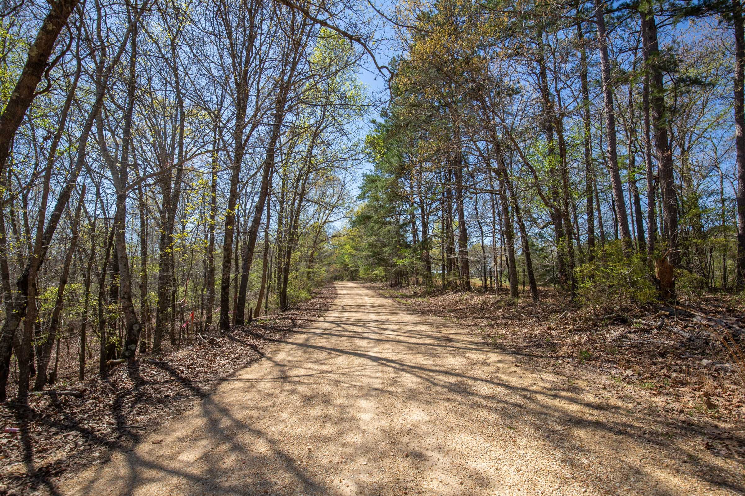 Southern Hills Tract 1 photo 14