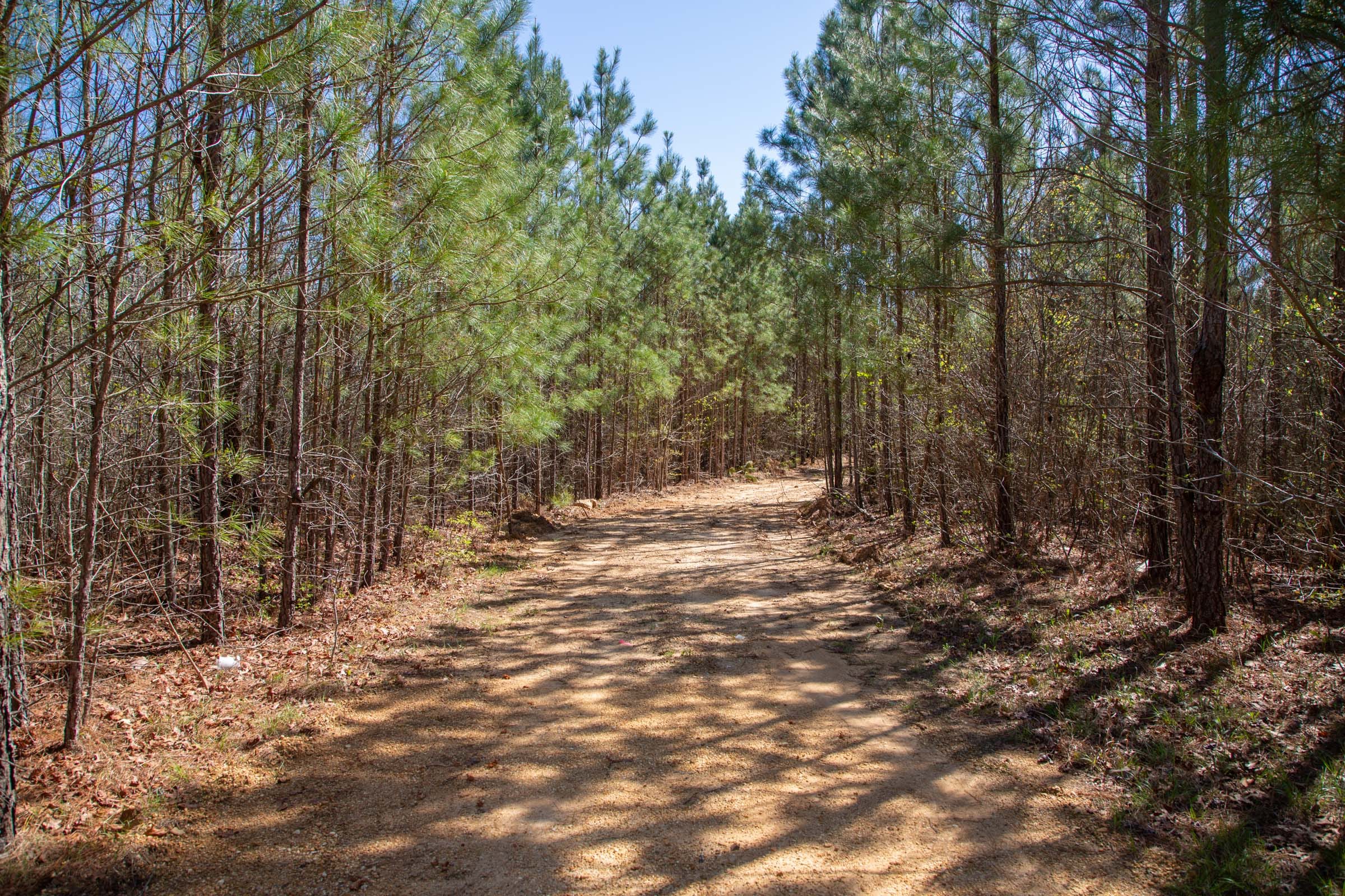 Southern Hills Tract 1 photo 17