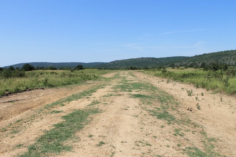 Daisy Meadows Tract 30 photo 1