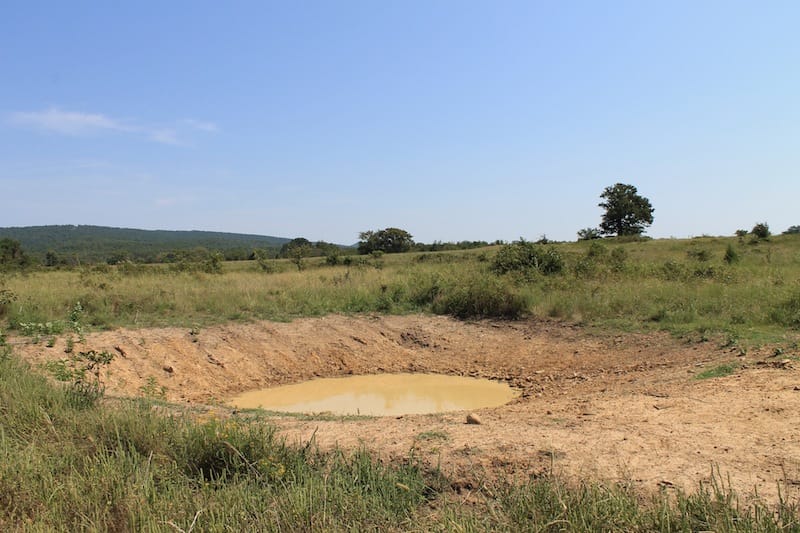 Daisy Meadows Tract 30 photo 3