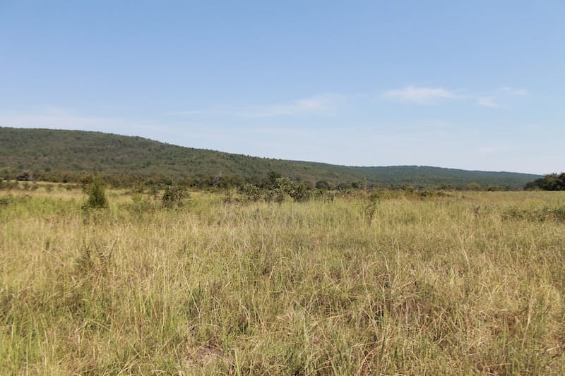 Daisy Meadows Tract 30 photo 7