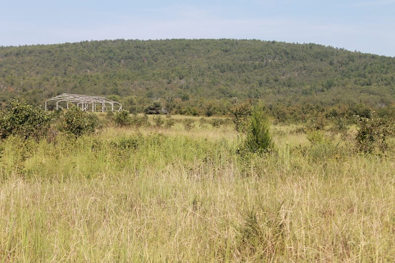 Daisy Meadows Tract 30 photo 8